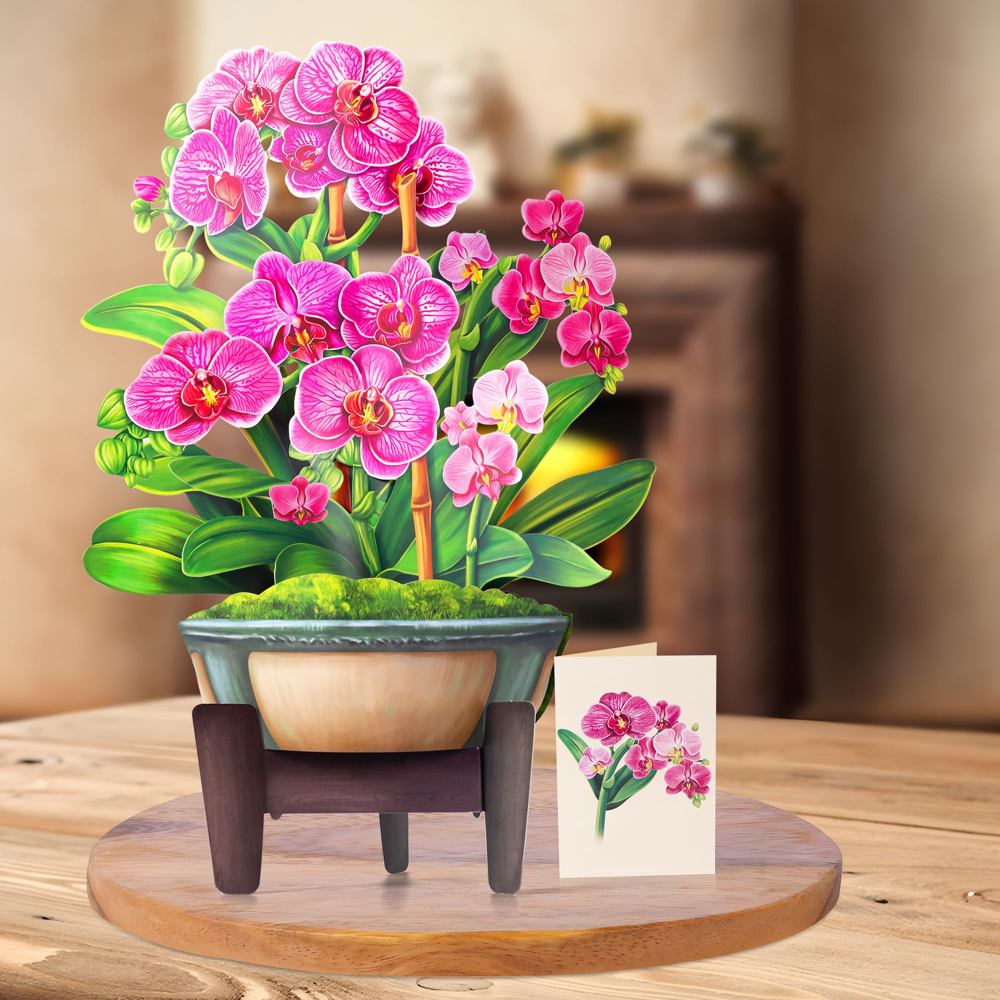 Airpark Pop-Up-Blumenstrauß-Karte für Frauen, 3D-Blumengrußkarte mit Umschlag und Notiz, Geburtstag, Dankeschön, Thinking of You Get Well Geschenk für Mutter, Freundin, Ehefrau, Lehrer, Orchidee