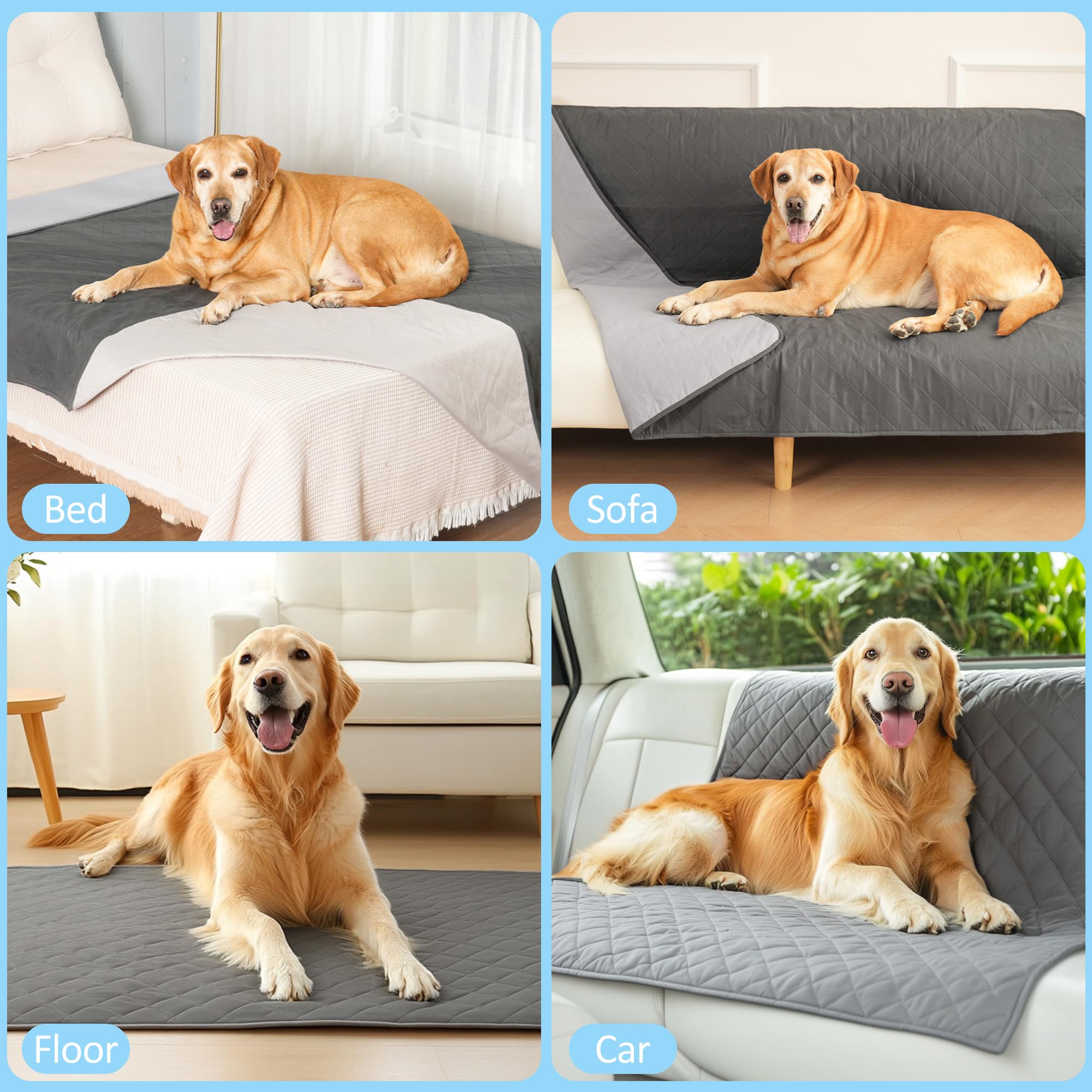 Copridivano & Copriletto Impermeabile per Cani, Coperta per Cani e Tappetino per Gatti per Divano, Letto, Lavabile Coperta per Animali Domestici, Ideale per Cani Grandi/Piccoli, 203x152cm