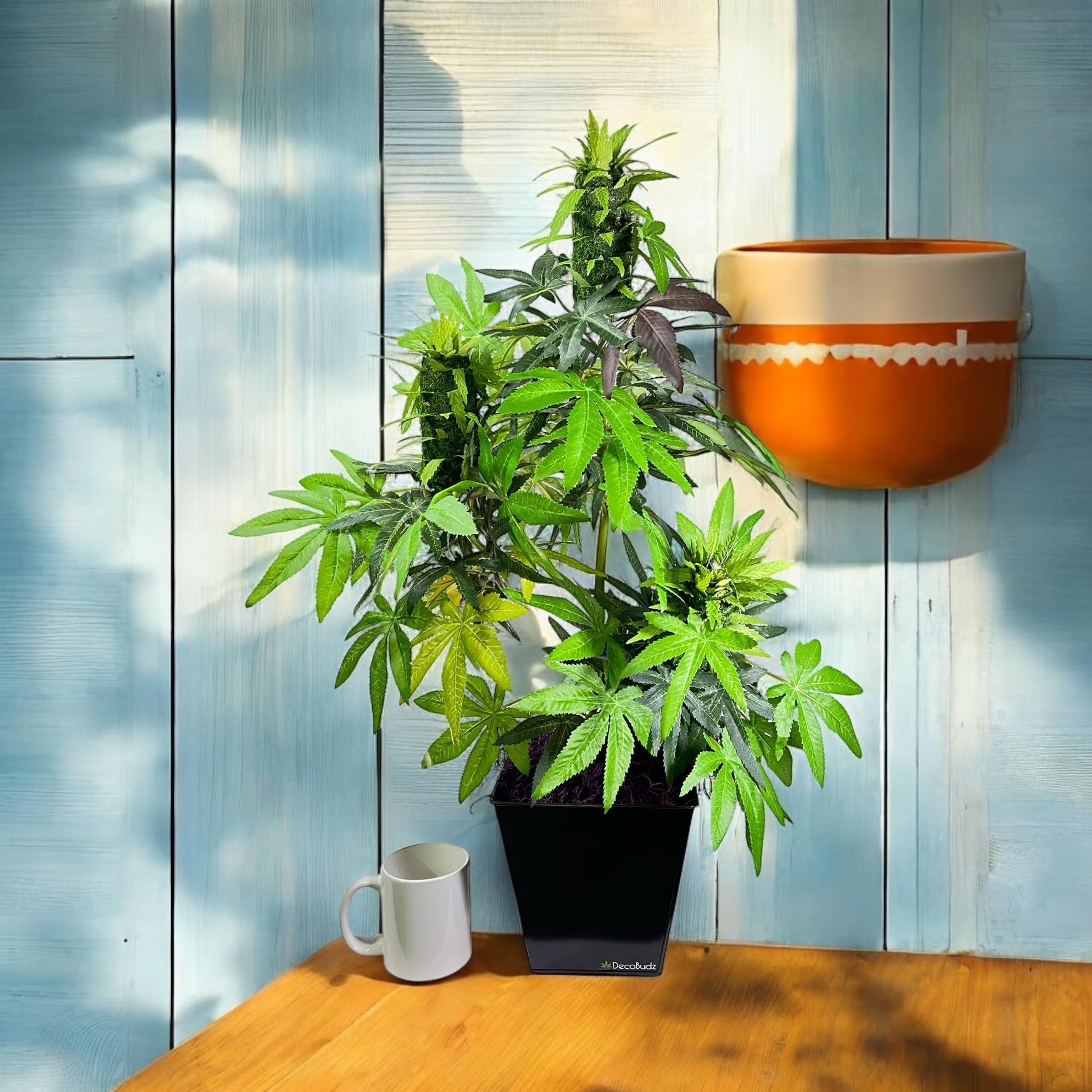Amazon.co.jp: DecoBudz Bush - Artificial Cannabis Plant Over 2