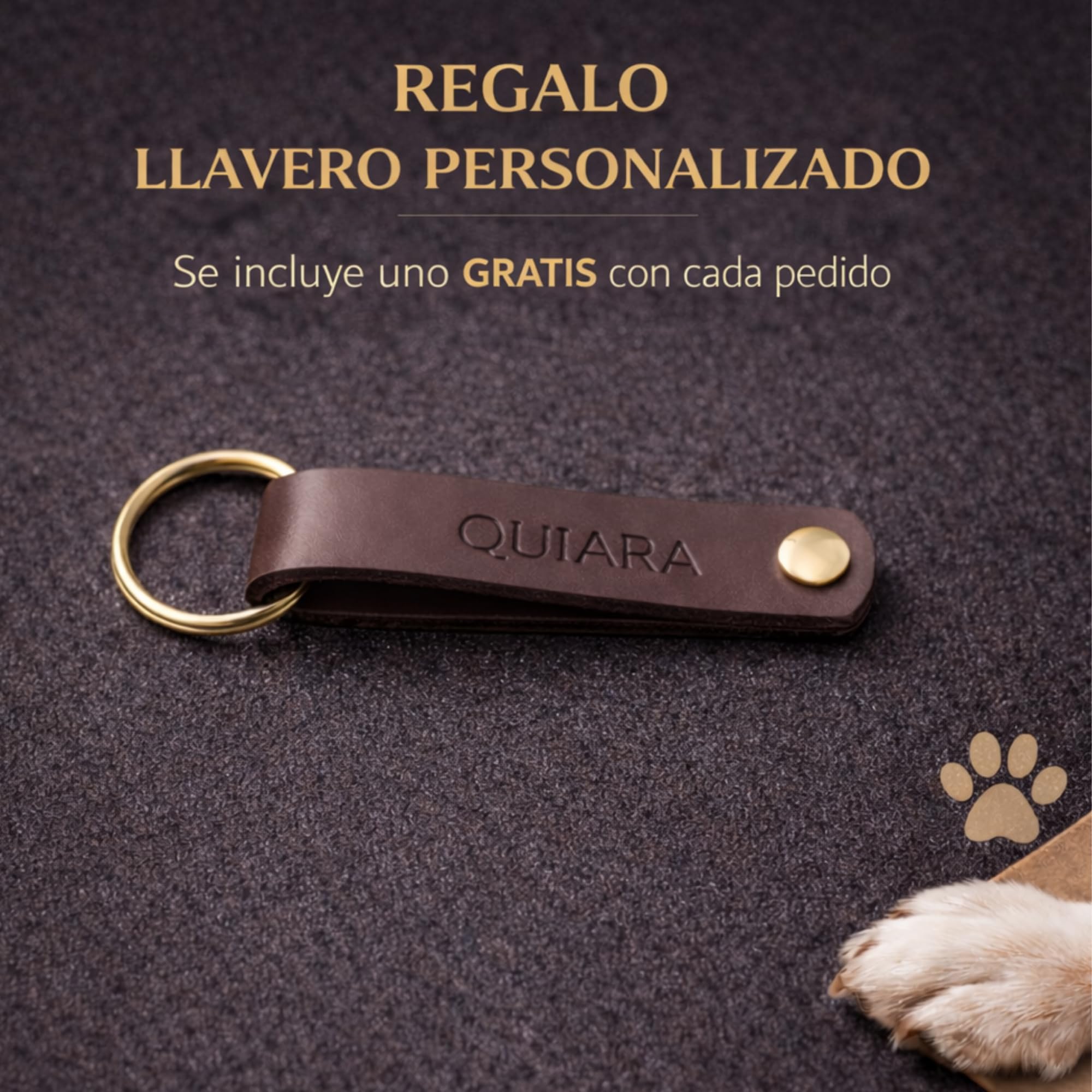 Collar para Perro de Cuero con Acolchado - Personalizable con Nombre Grabado - Hecho a Mano, Resistente y Elegante - Llavero Personalizado de Regalo (Negro, XL: Rango de Cuello 48–58 cm)