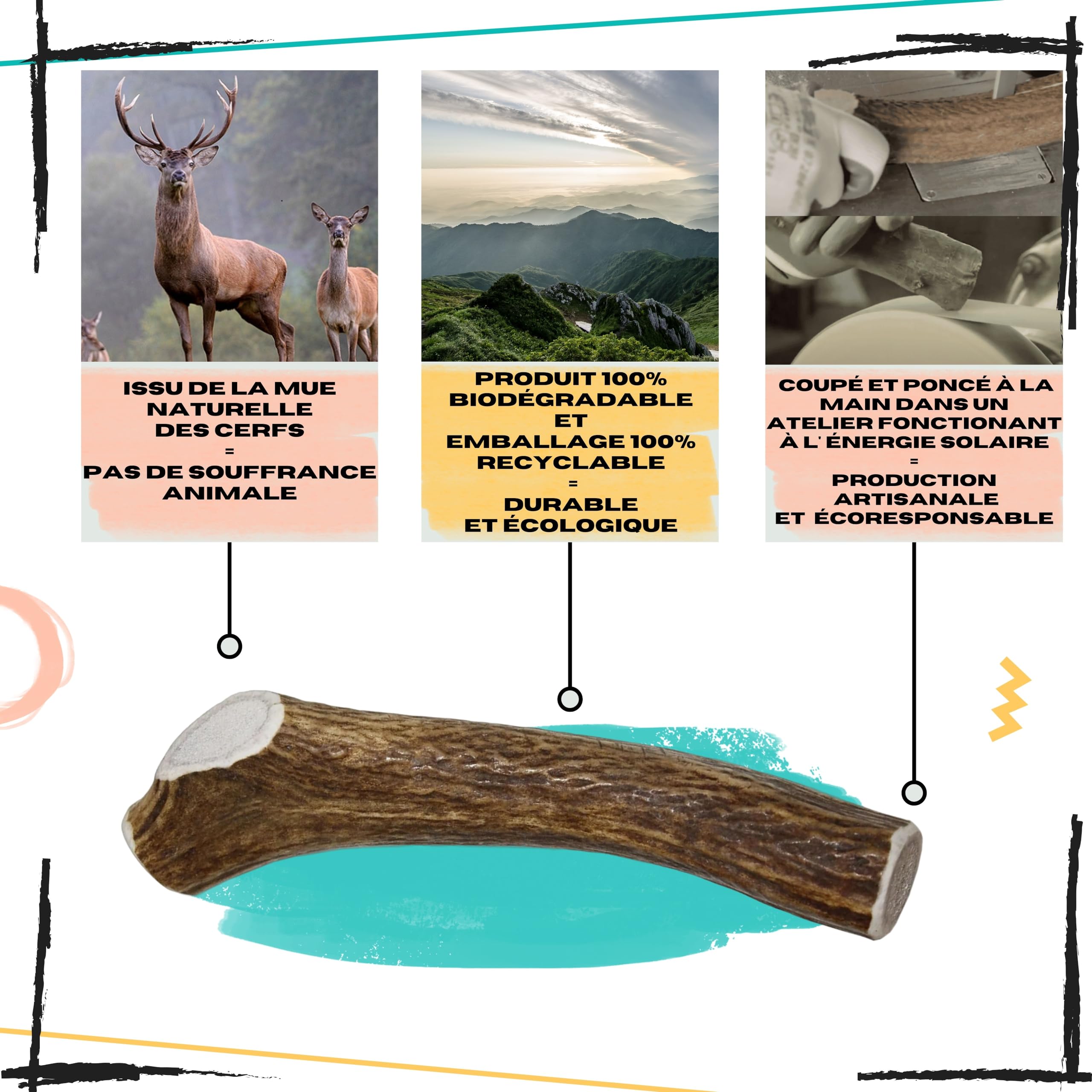 Bois de cerf pour Chien, Taille XL 30 à 45 Kg | Nettoie les dents, Longue durée de mastication, Apport en calcium naturel, Anti-stress pour chiens actifs