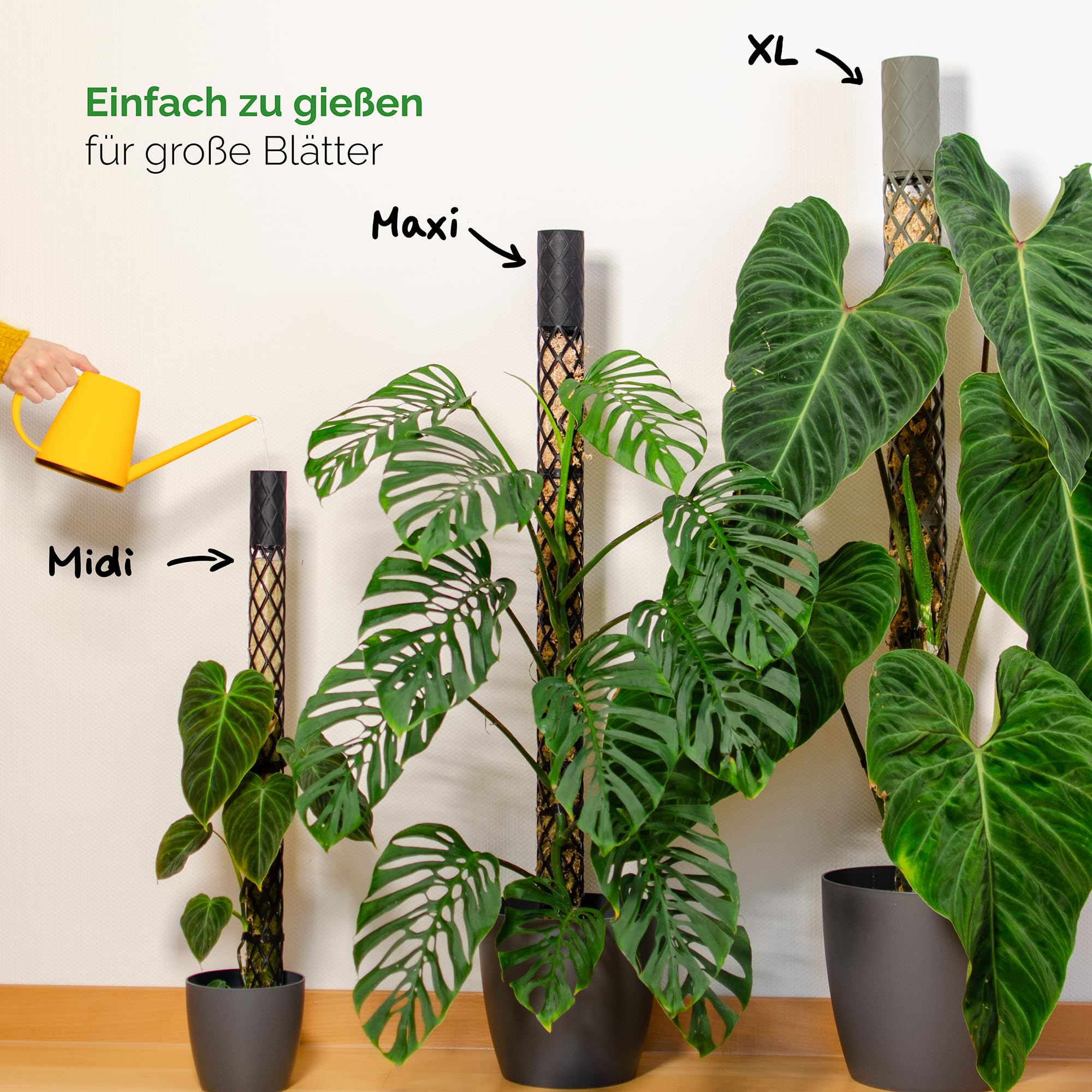 Moosstab Midi Set - Rankhilfe Zimmerpflanze Rankhilfen für Kletterpflanzen, Efeutute, Moosstab, Pflanzenstütze, Moss Pole, Kletterhilfe Zimmerpflanzen, Philodendron (schwarz, 70cm)