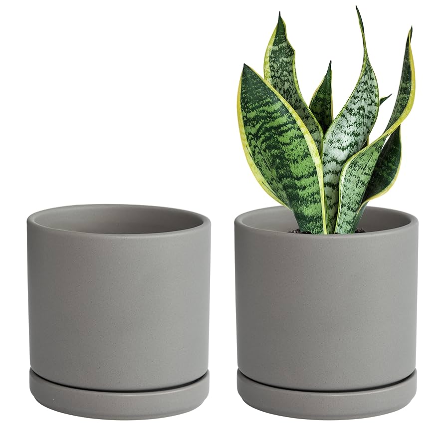 宮下将太 / silver dwarf pot planter Amazon.com : Deco 79 Metal Indoor Outdoor Planter Small