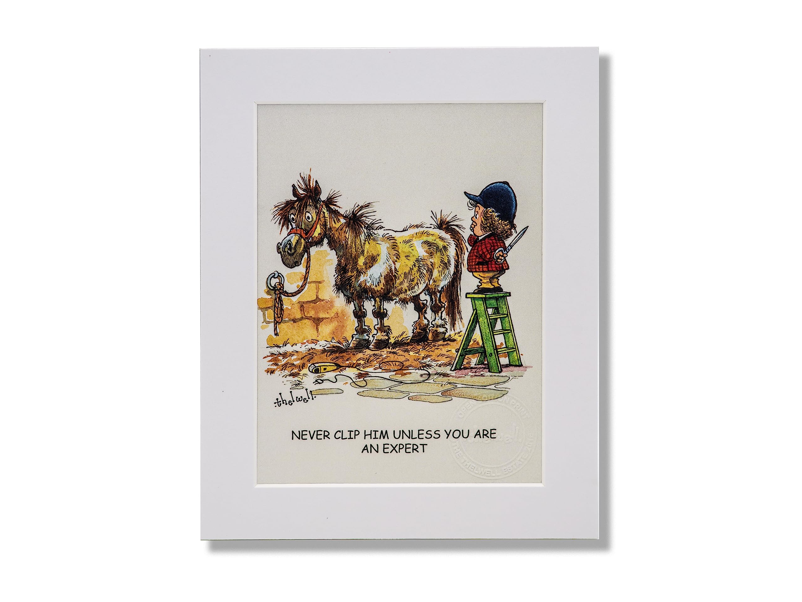 Thelwell Horse riding cartoon print, mounted and ready to frame. Never clip him unless you are an expert