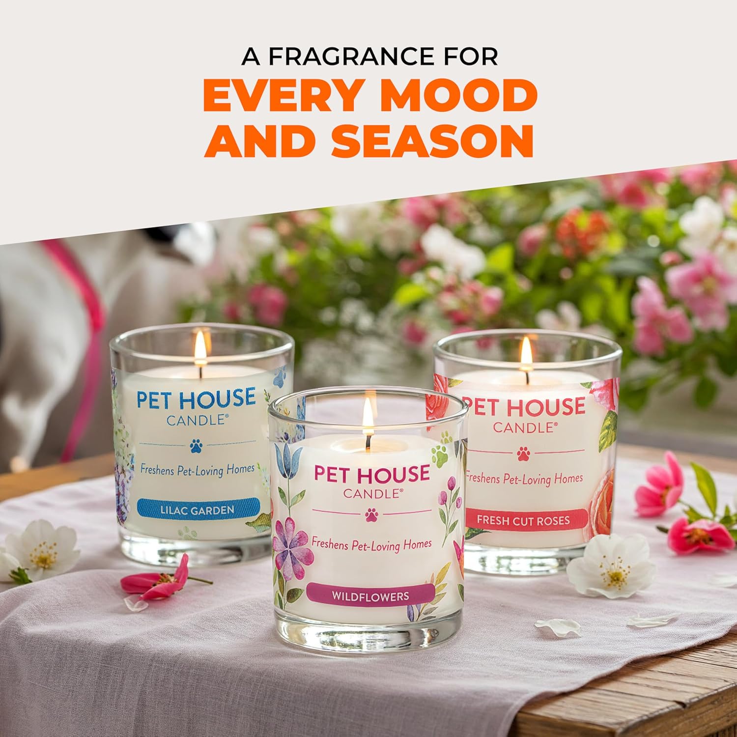 One Fur All Pet House Fall Candles, Long Lasting, Clean Burning, Soy Wax Scented Candles for Pet Odor, Caramel Latte