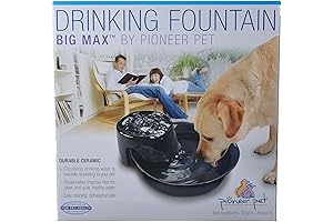Pioneer Fountain: The Big Max for Your Thirst