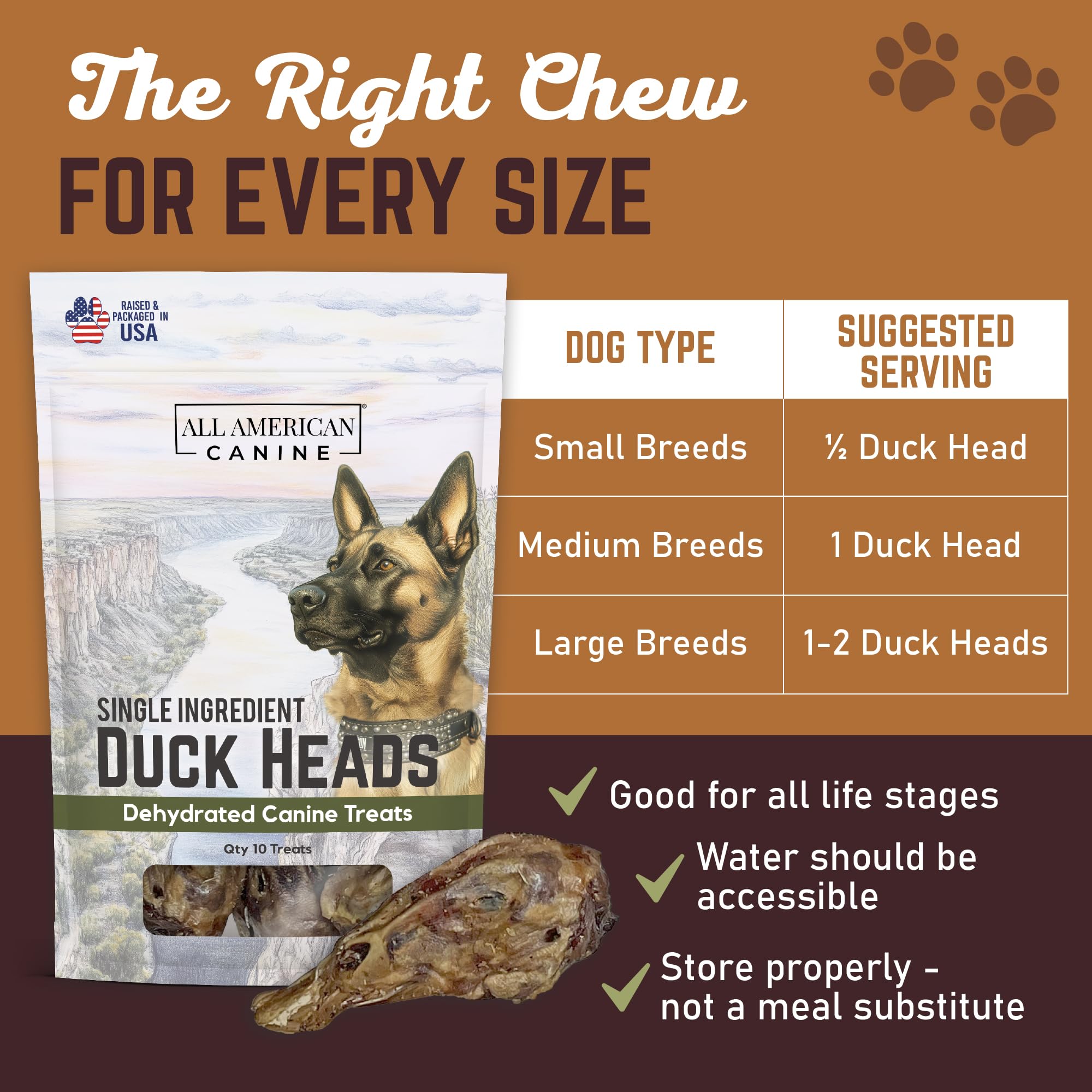 All American Canine Entenköpfe für Hunde, dehydrierte Hundeleckerlis, 10 Stück | Dehydrierte ganze Entenköpfe | High Protein Low Fat Chew | Unterstützt Zähne und Training | Getreidefrei | Made in USA