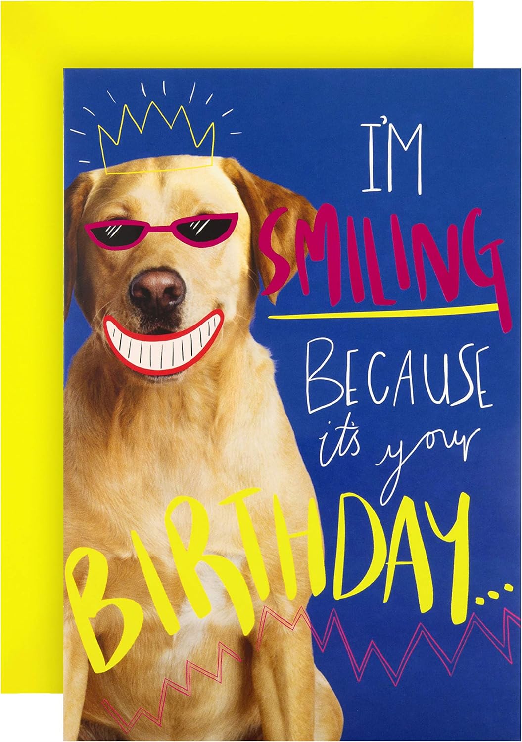 Hallmark Birthday Card - Funny Photographic Smiling Dog Design