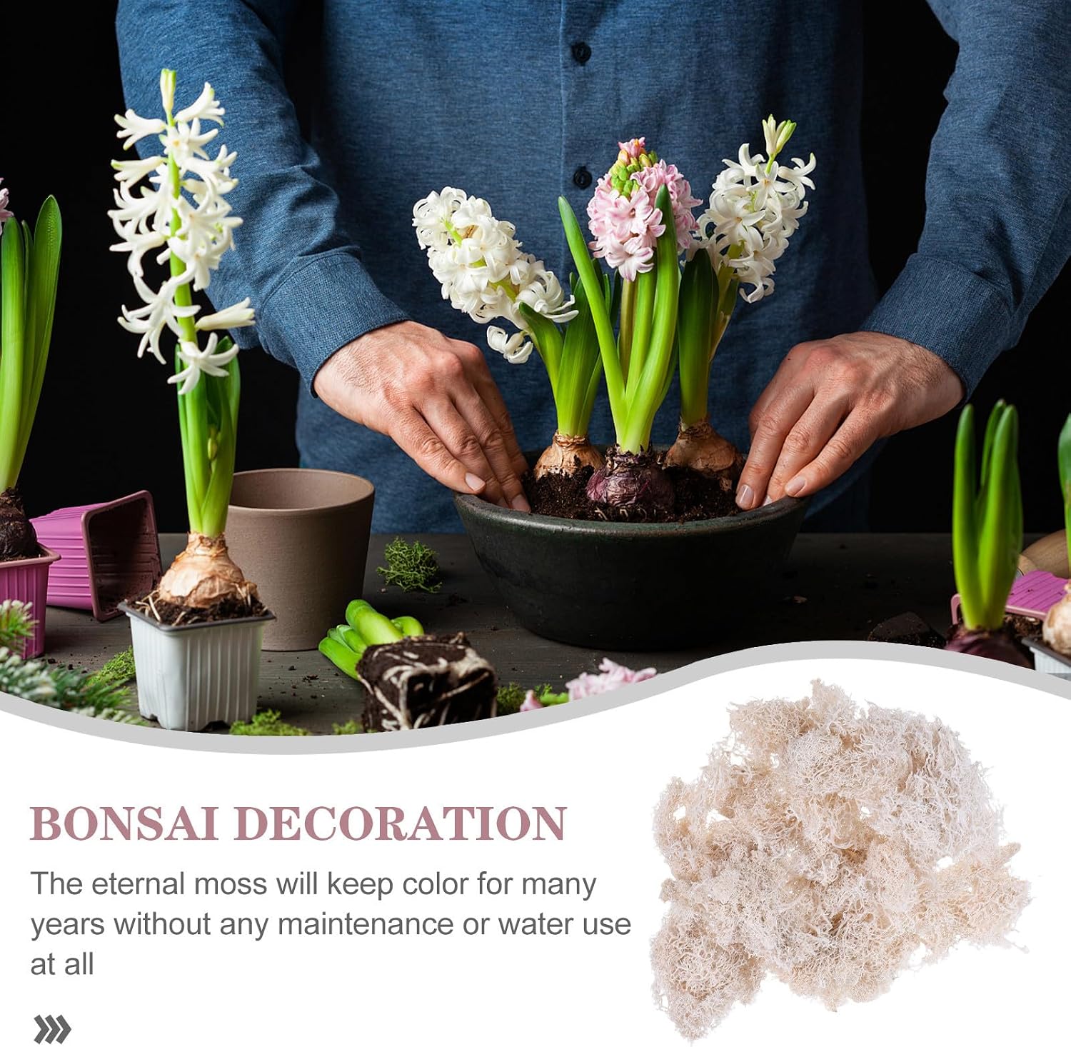 Preserved Moss Floral Material 50g White for Table Setting