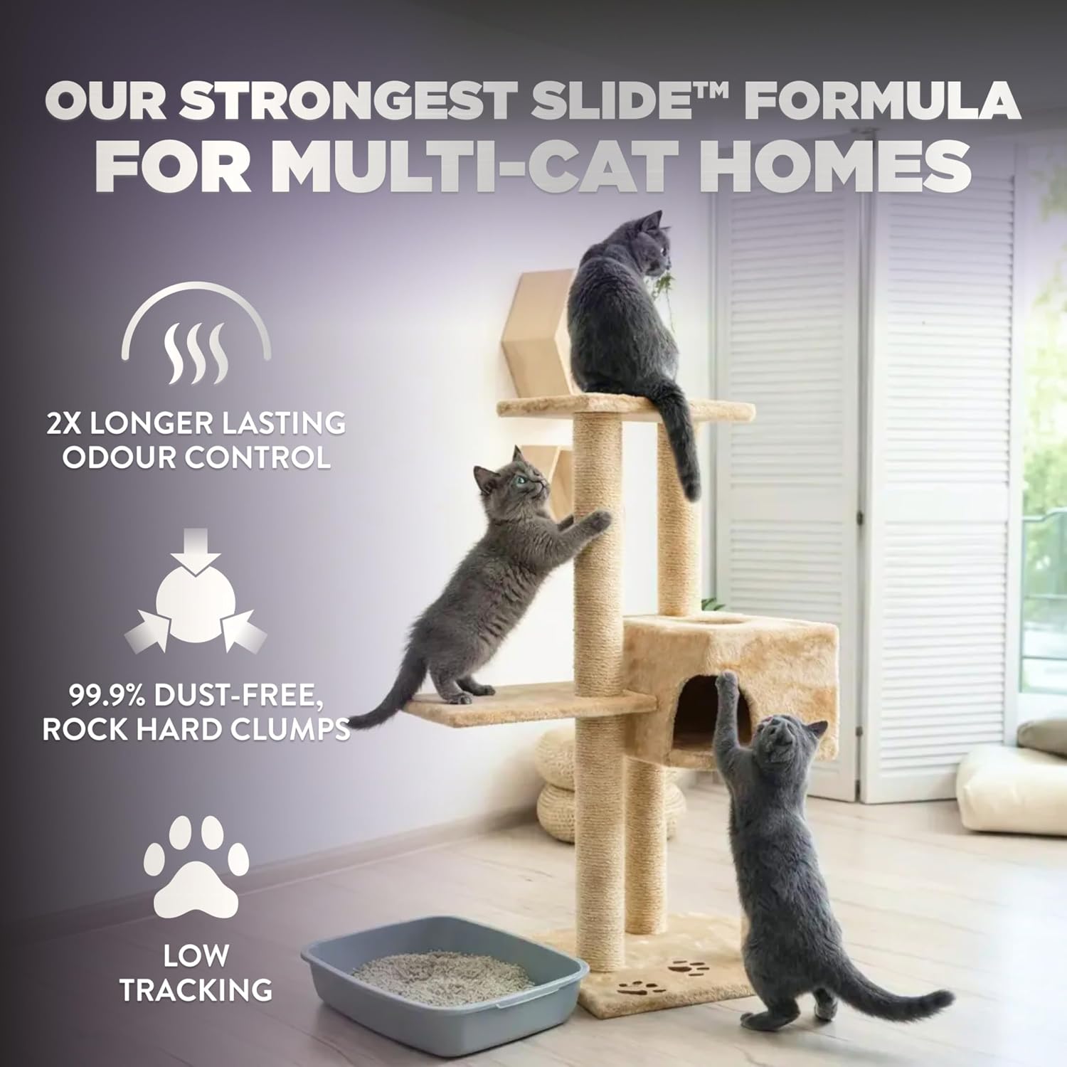 猫砂防粘效果