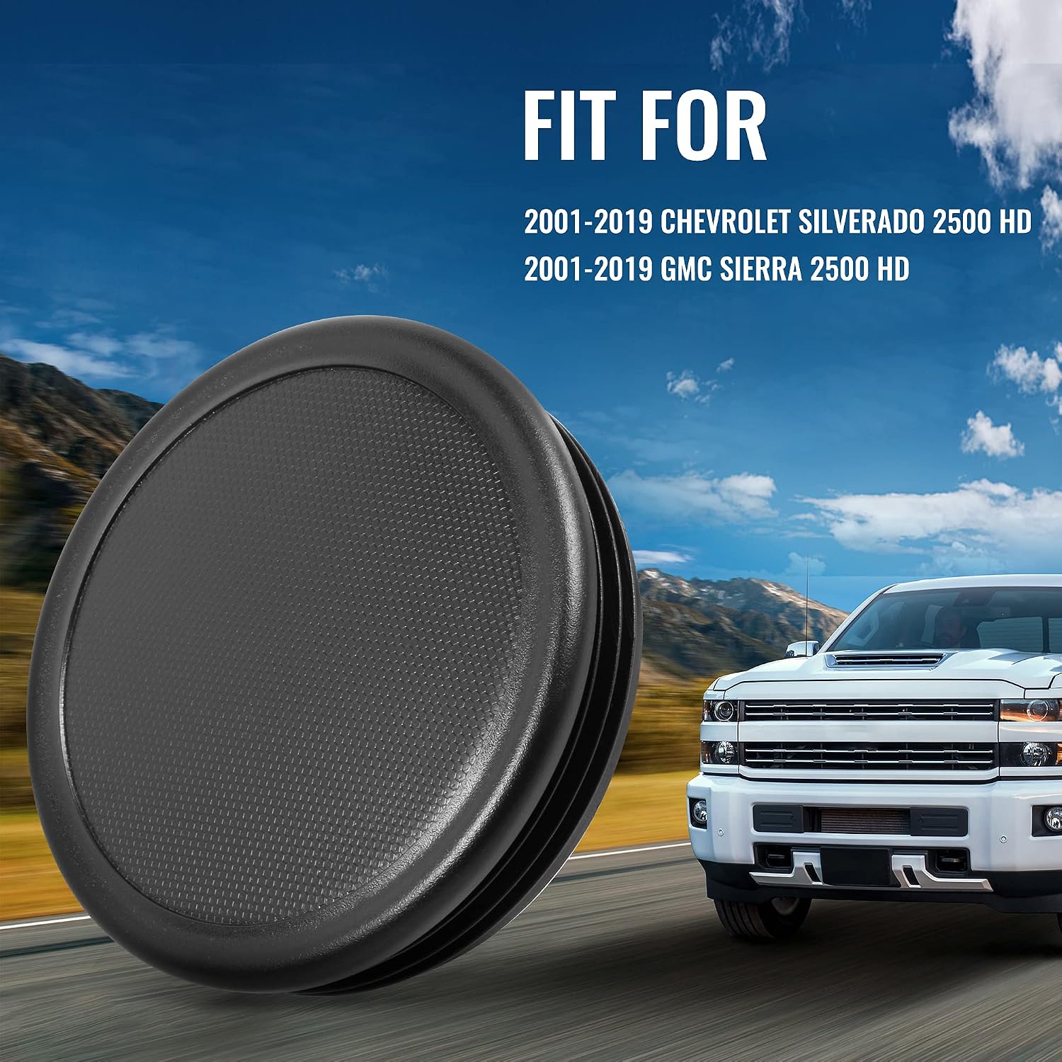 RDBS 4PCS Plug Kit for 2500HD Rear Wheel Well and Cab Frame Holes Cap - Fits 2001-2019 GMC Sierra & Chevrolet Chevy Silverado - 2500 Truck Accessories