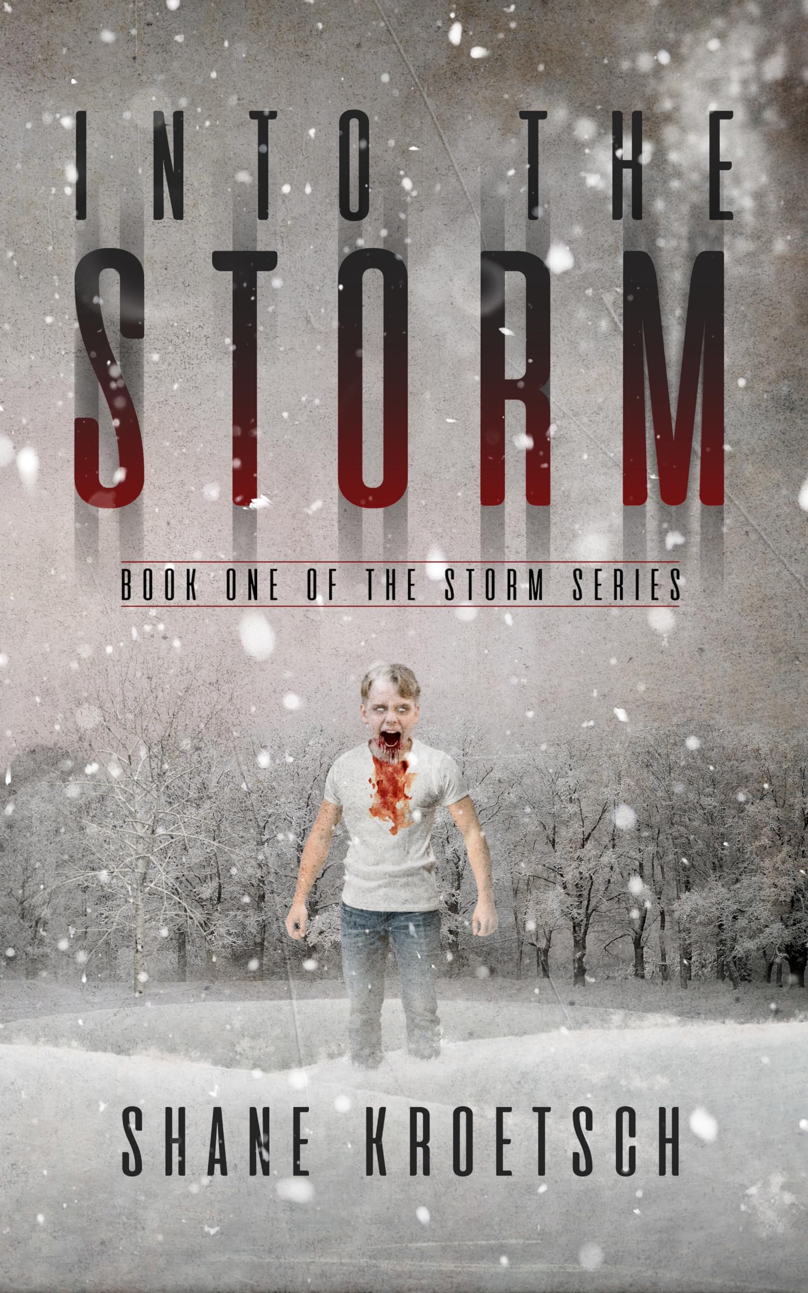 Into the Storm: Book One of the Storm Series