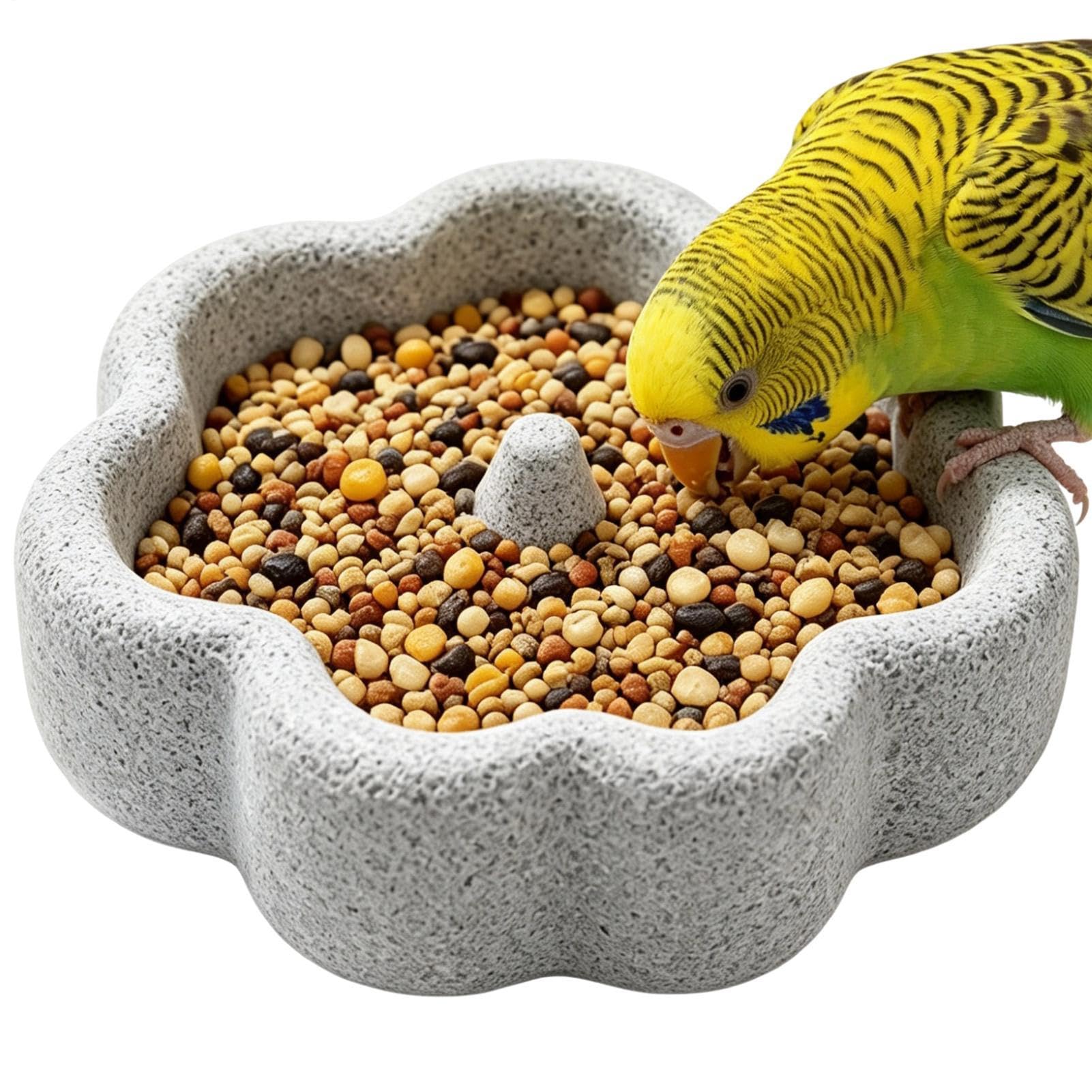 Pumice Stone Bird Feeder Bowl, Natural Pumice Stone Stable Bath Dish