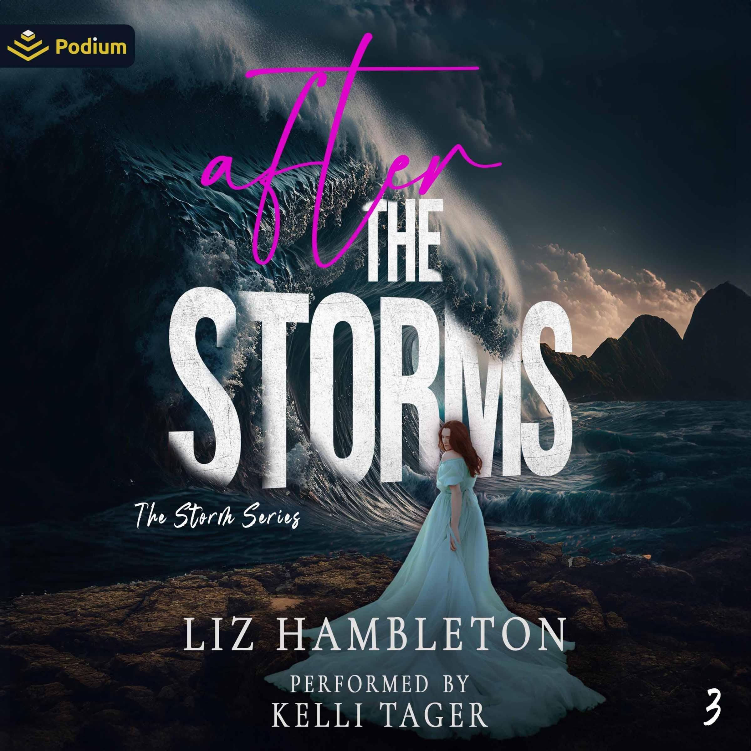 Cover art for After the Storms