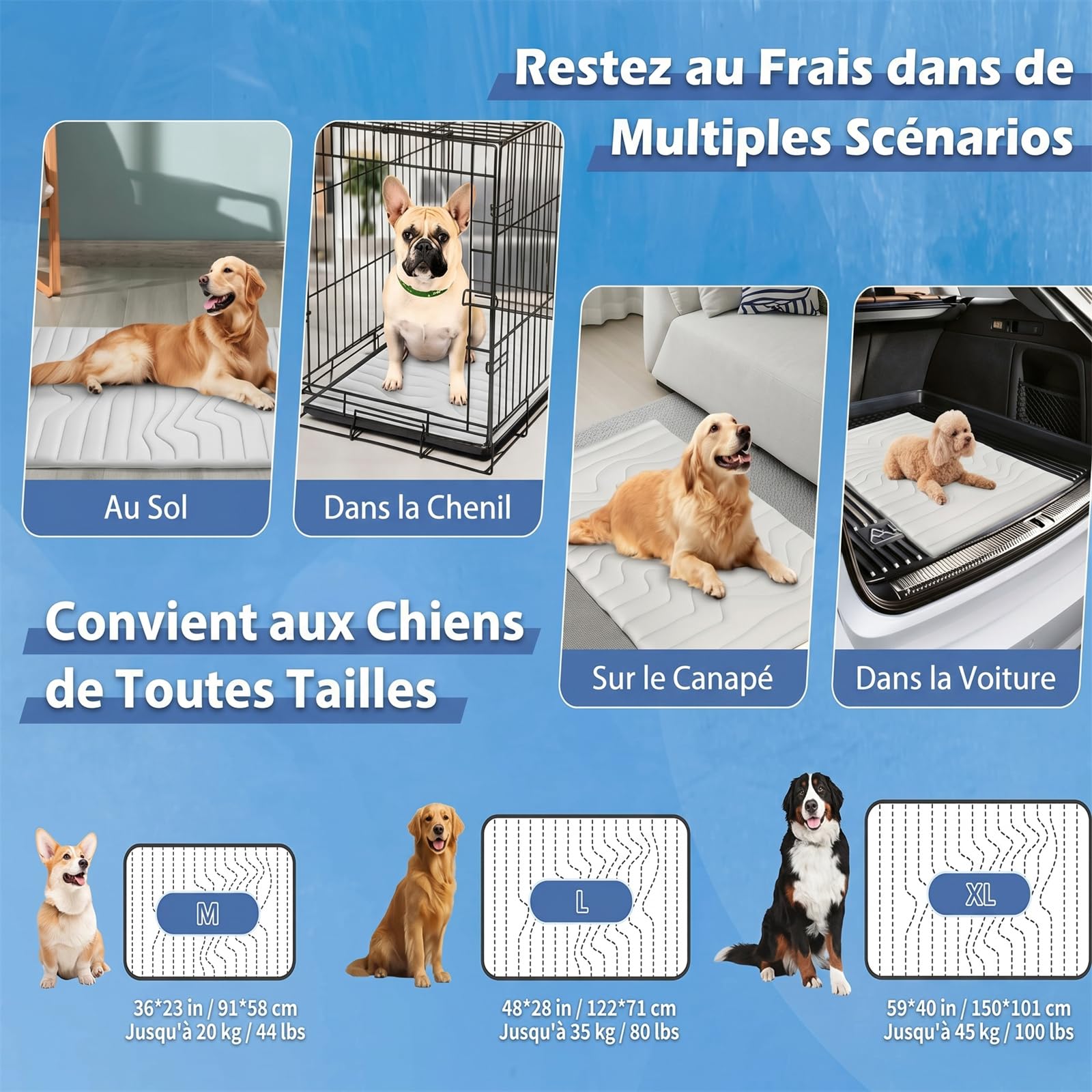 Pawfroste Tapis Fraîcheur Lavable Respirant pour Chien