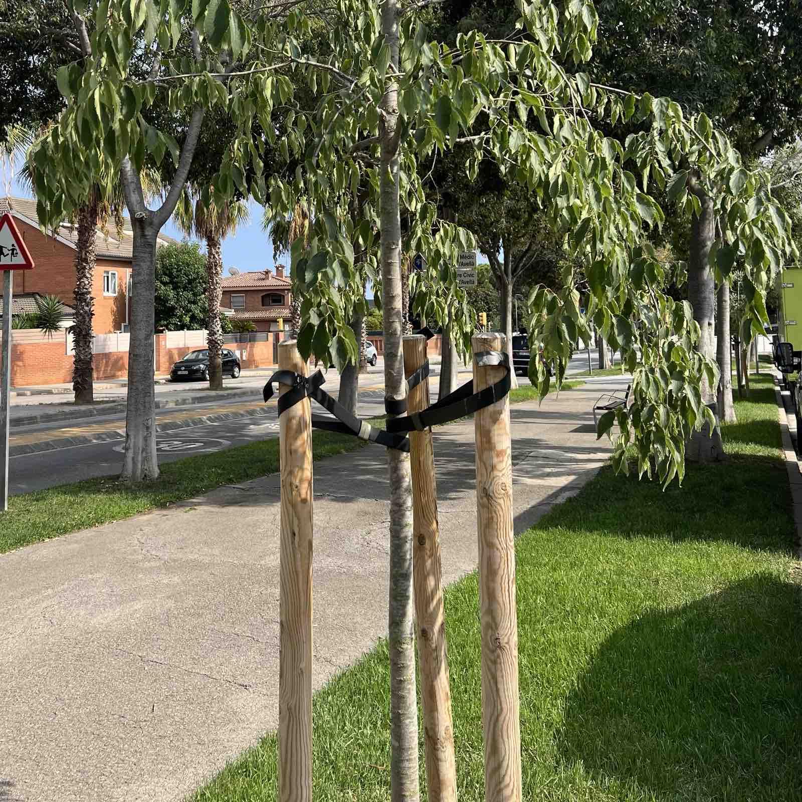 Correa de Tutorar para Árboles Negra – Alta Resistencia/protección UV/Jardinería/Cinta 25 Metros con 25 Hebillas/Grueso 2,3 mm