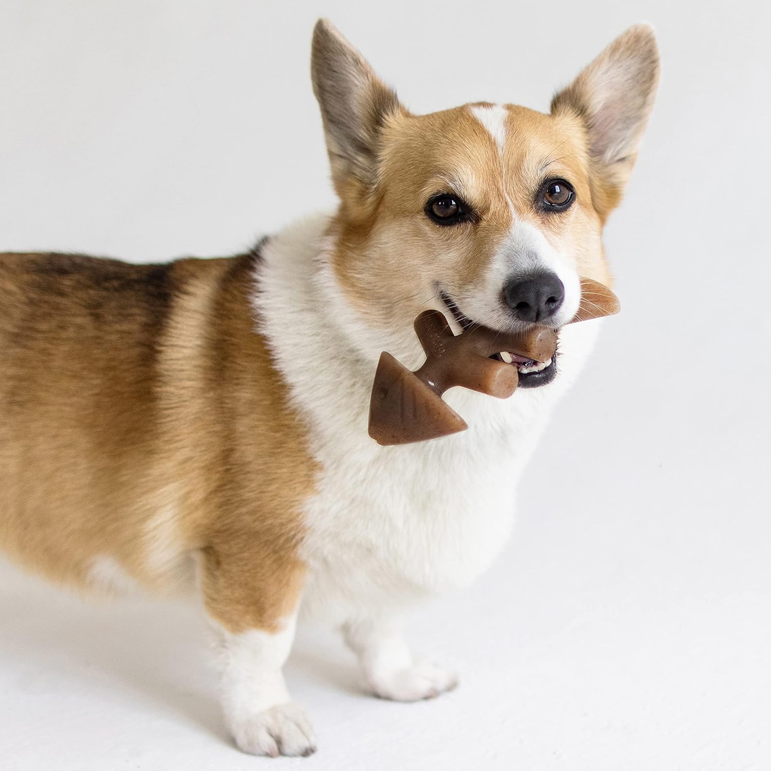 Benebone Dental Durable Dog Chew Toy for Aggressive Chewers, Real Bacon, Made in USA, Small & Fishbone Durable Dog Chew Toy for Aggressive Chewers, Real Fish, Made in USA, Small