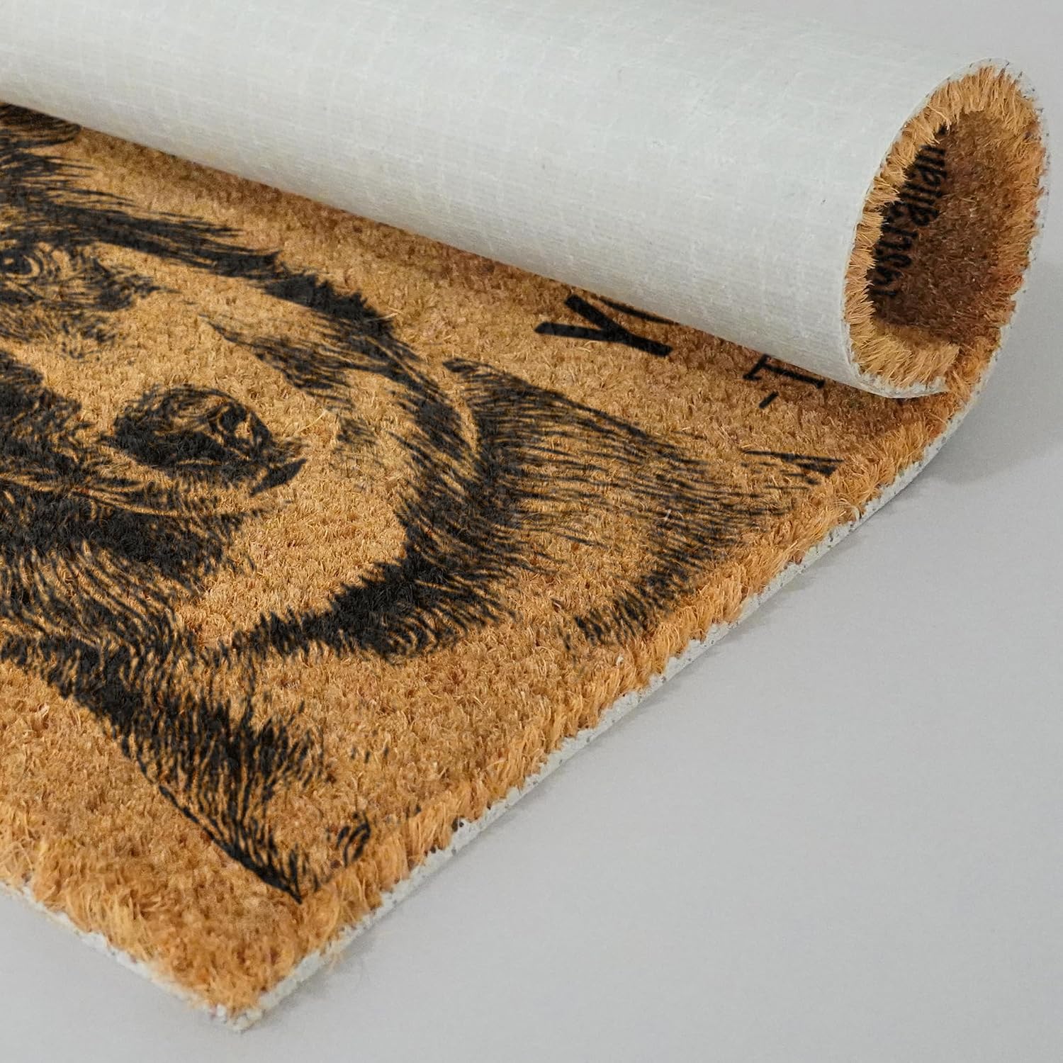 Australian Shepherd Doormat No Need to Knock Australian Shepherd Doormat, Welcome Dog Breed Mat Australian Shepherd