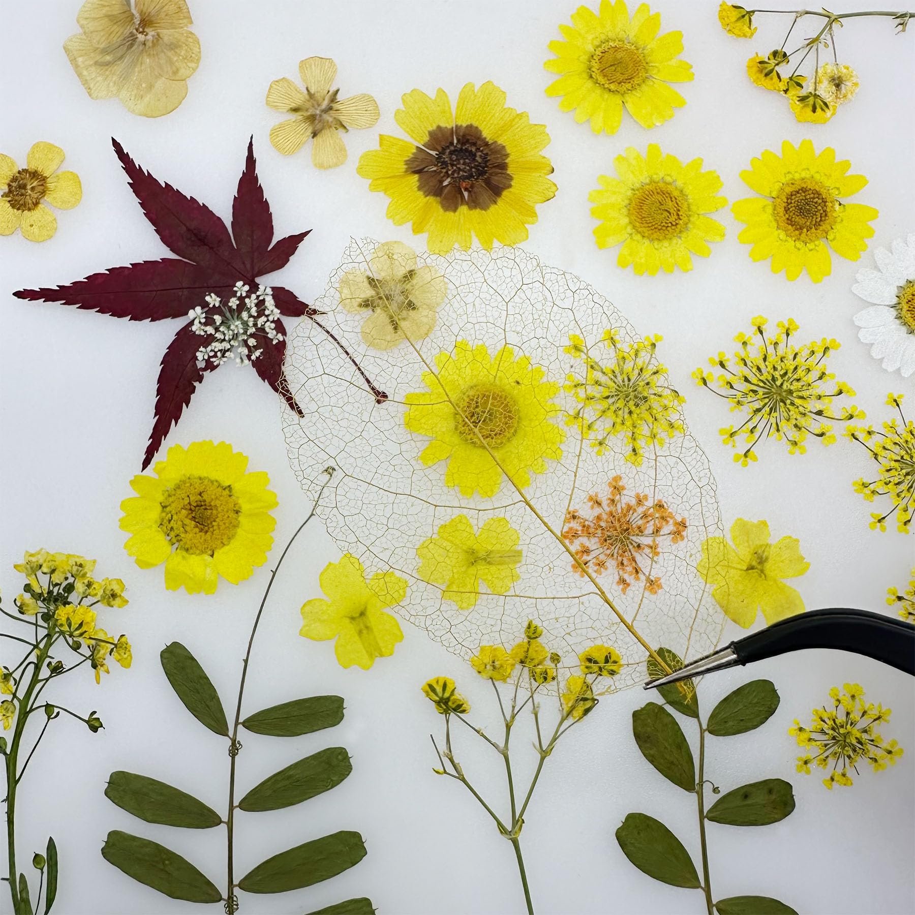 Woohome 4 Pack Dried Flowers for Resin Molds 137 Pcs Real Natural Dried Pressed Flowers