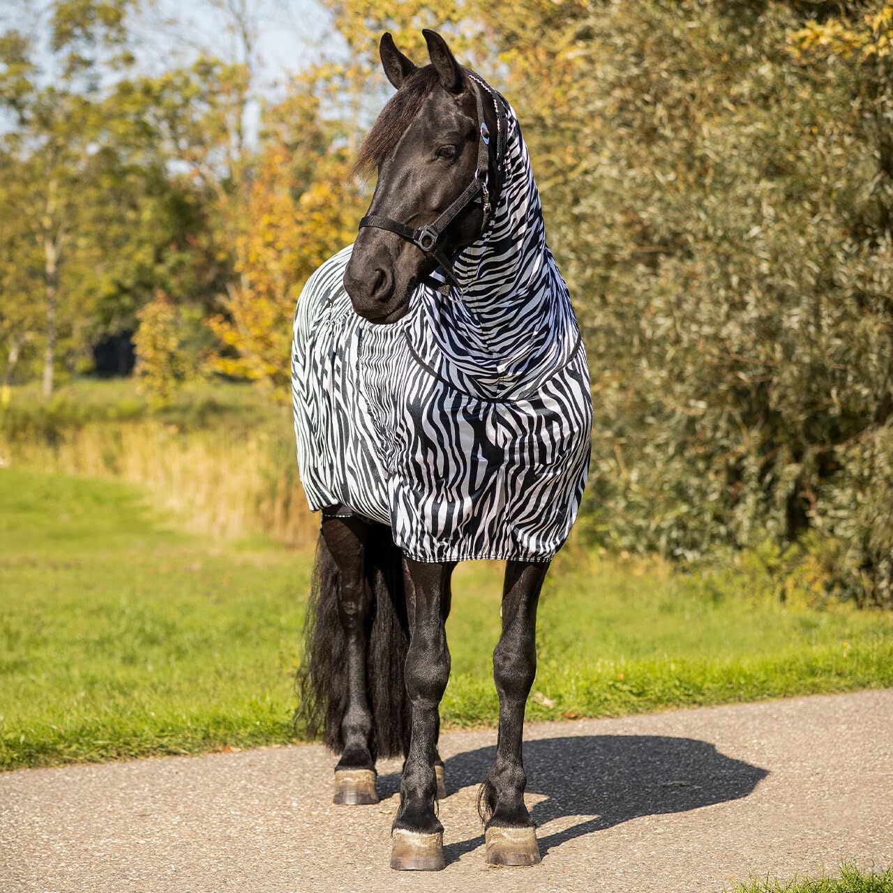 NETPROSHOP Ekzemdecke speziell für Friesen und Barockpferde atmungsaktiv Fliegendecke Größe 135-185, Groesse:135, Farbe:Zebra