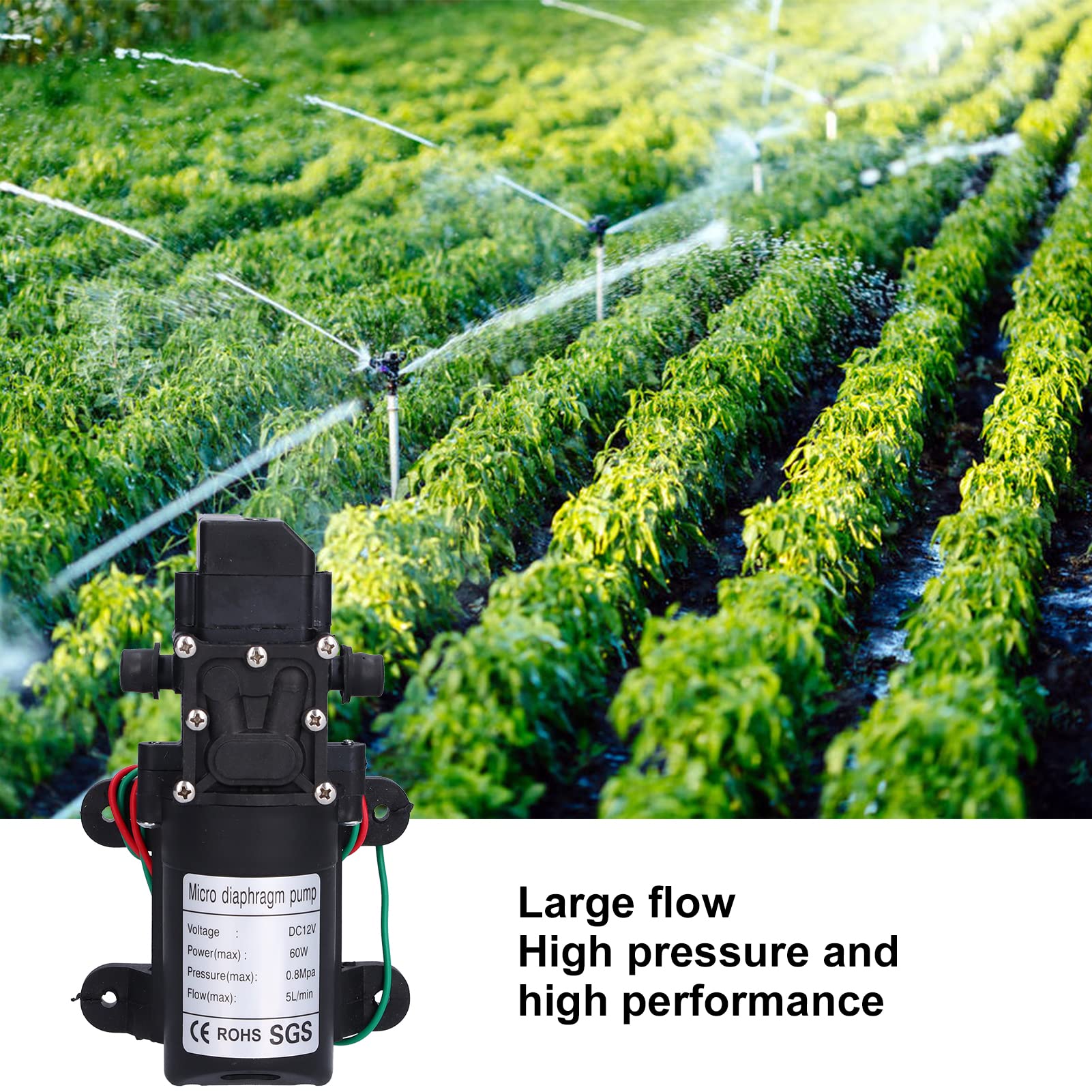 Pompe à Diaphragme 12 V, 60 W 5 L/min 0,8 MPa Pompe de Pulvérisateur Auto-amorçante à Grand Débit avec Arrêt et Démarrage Automatiques, Pompe de Surpression D'eau pour Irrigation de Jardin, Piscines