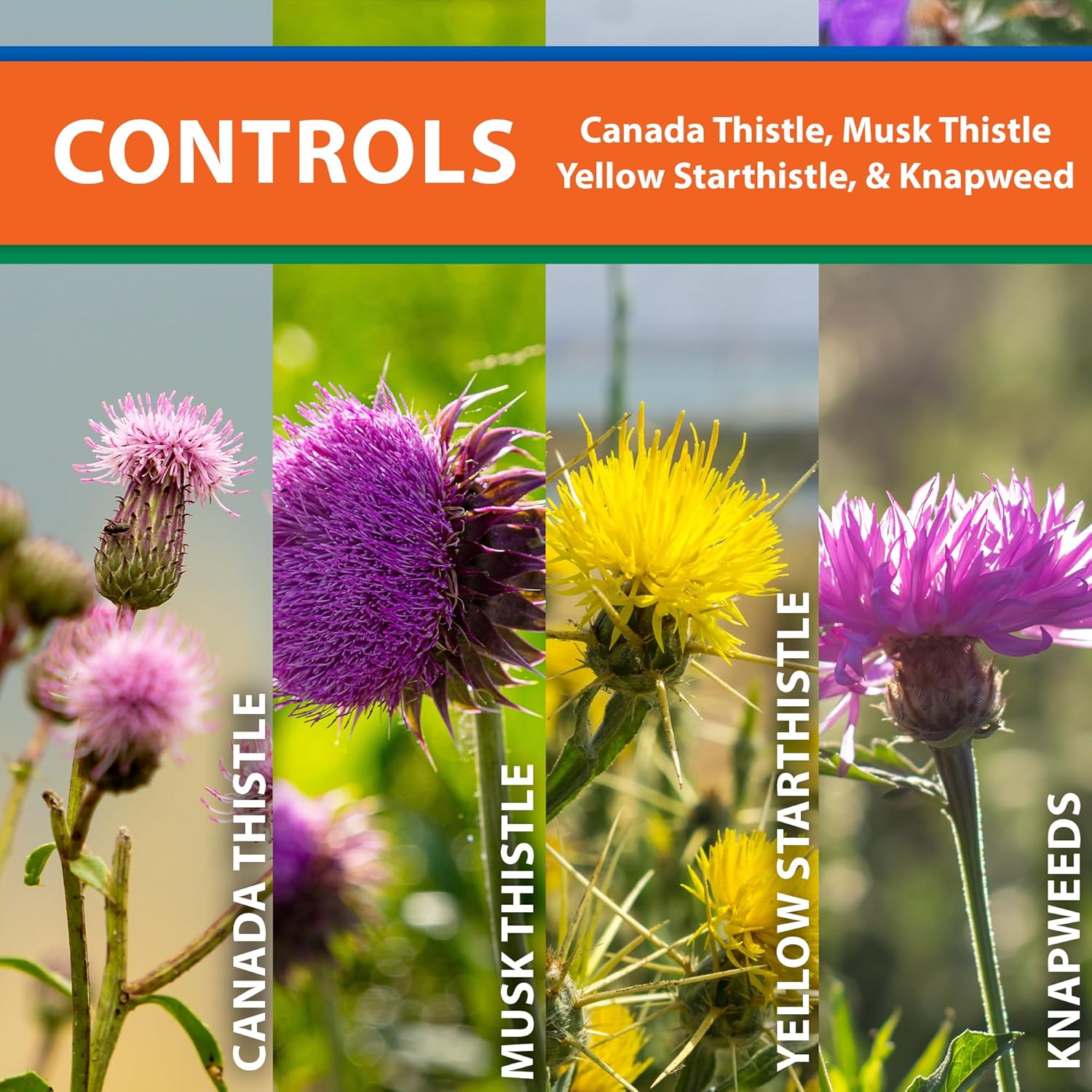 Monterey Thistledown Bundled with Measuring Spoon - Weed Killer Thistle and Clover Control Concentrate - 8 oz