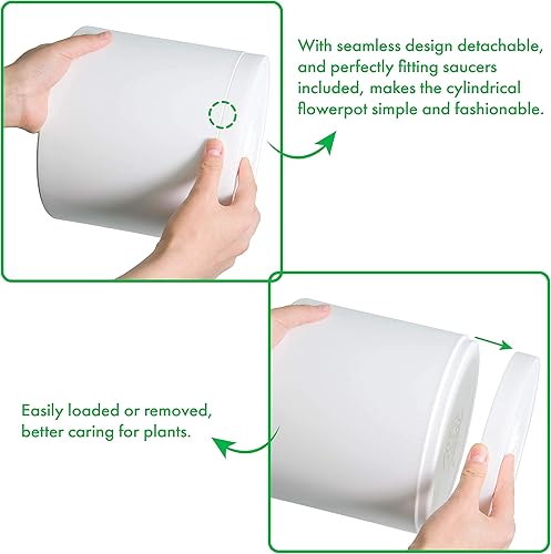 Miniatura 10 de D'vine Dev Paquete de 10 macetas de plástico para plantas, macetas cilíndricas para suculentas de interior de 6.565.54.543.532.52 pulgadas con