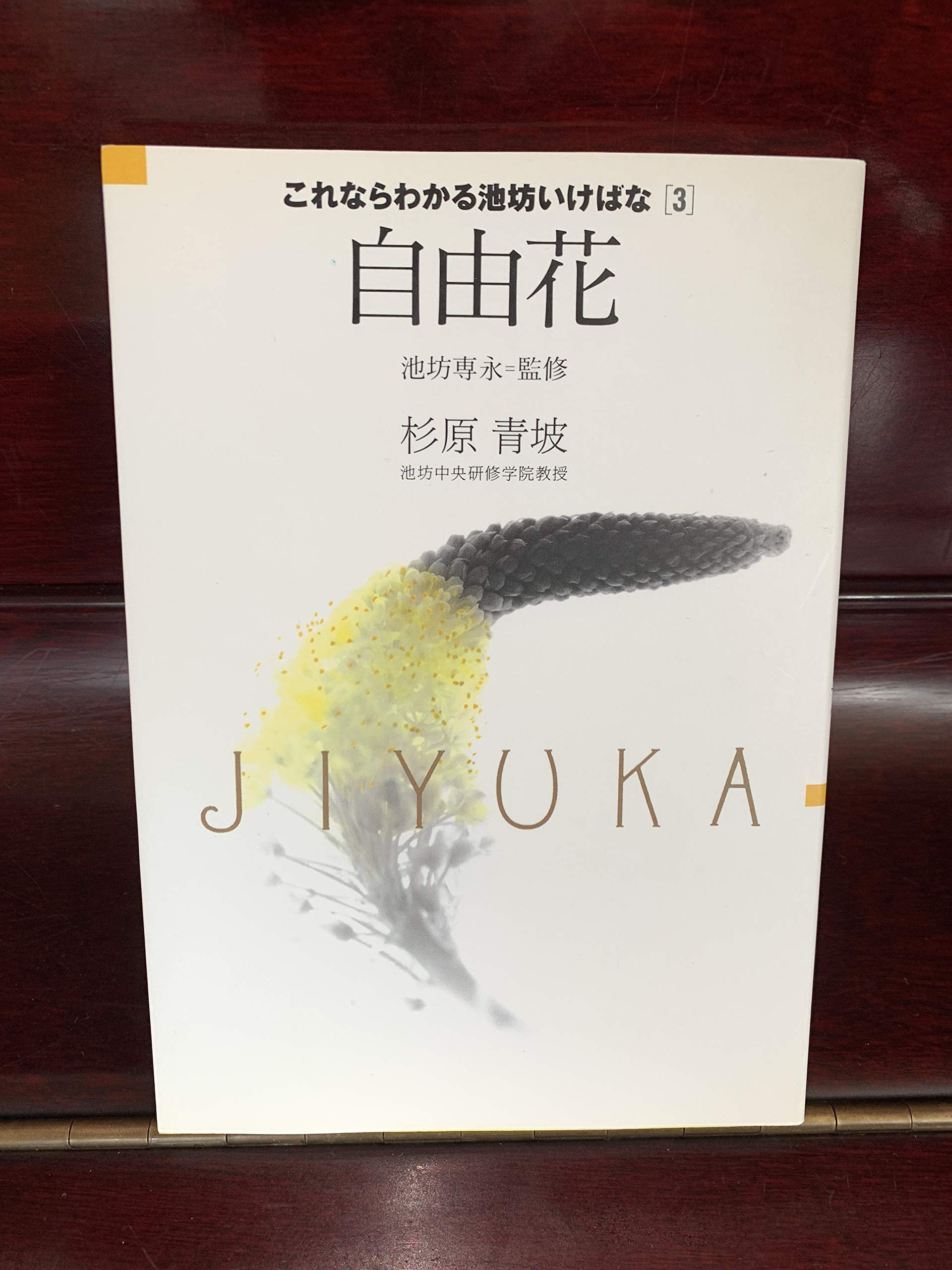 自由花 (これならわかる池坊いけばな) | 池坊 専永, 杉原 青坡 |本