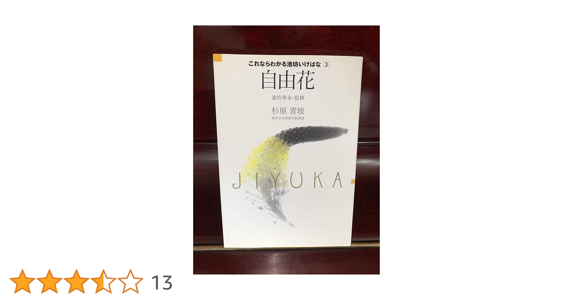 IKEBANA graphic 池坊専永著 藤原幽竹著いけばな技法書 IKEBANA graphic 池坊専永著 藤原幽竹著いけばな技法書