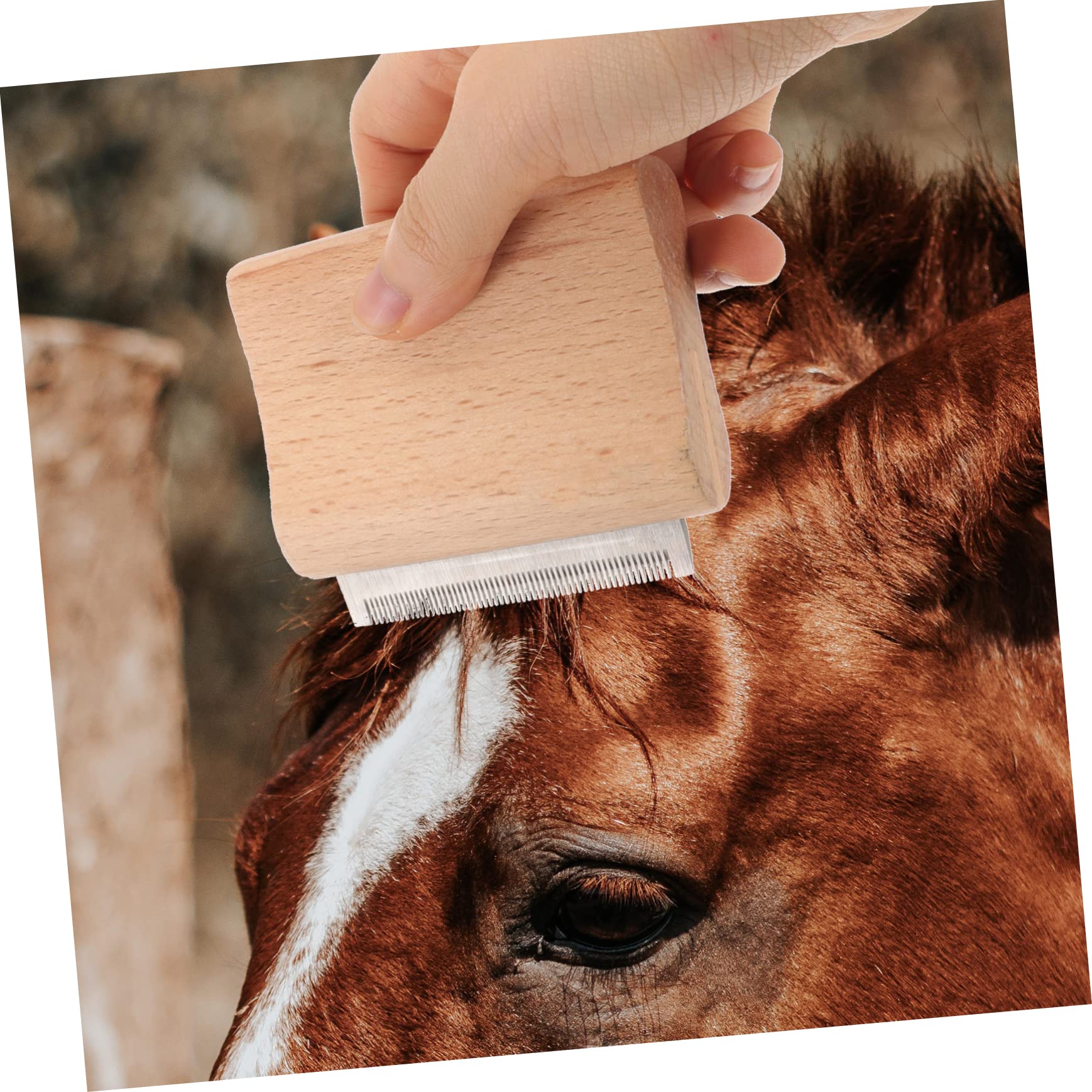 Brosse Pour Cheval Equi-Woodback - Neuve
