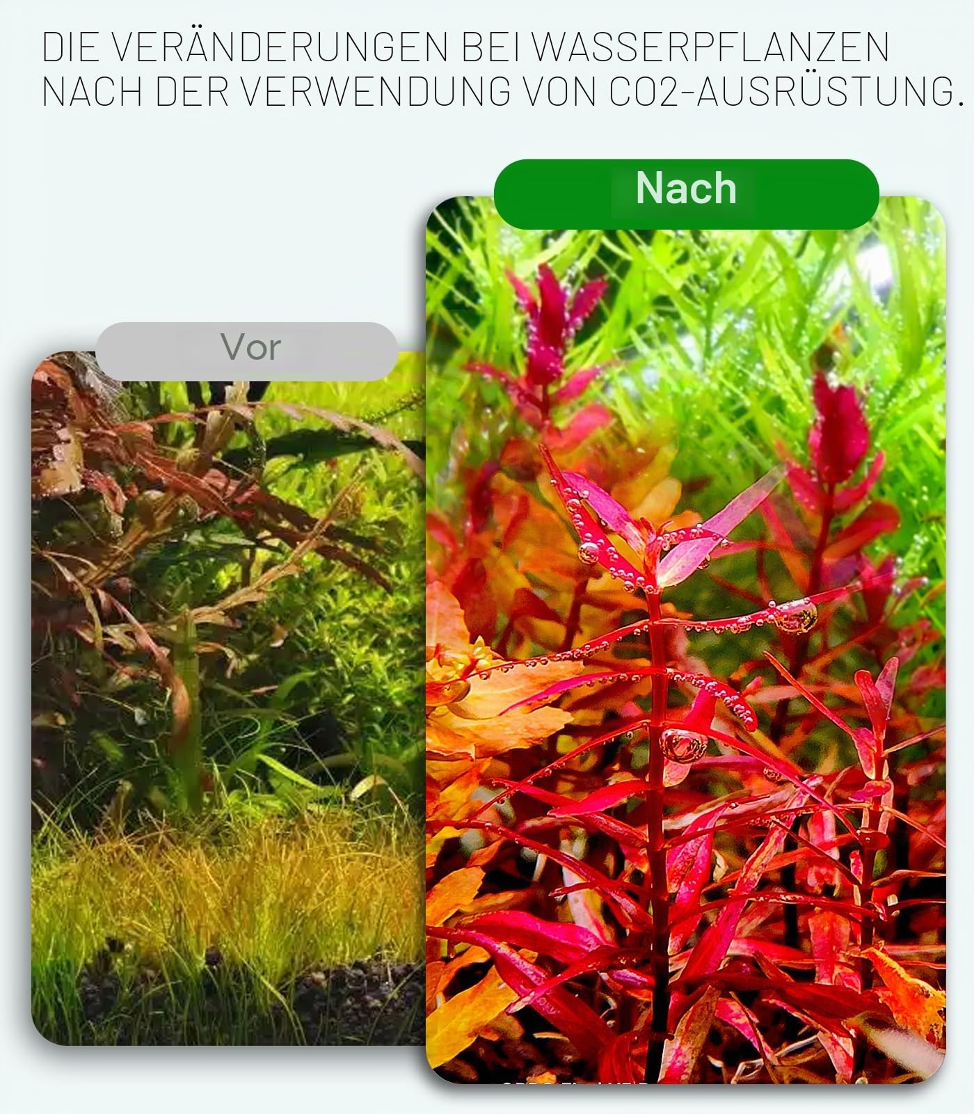 Aquarium CO2 System Generator, Edelstahl Kohlendioxid Reaktor Kit mit Regler Magnetventil für Aquarienpflanzen (G600S), CO2 Aquarium Kit