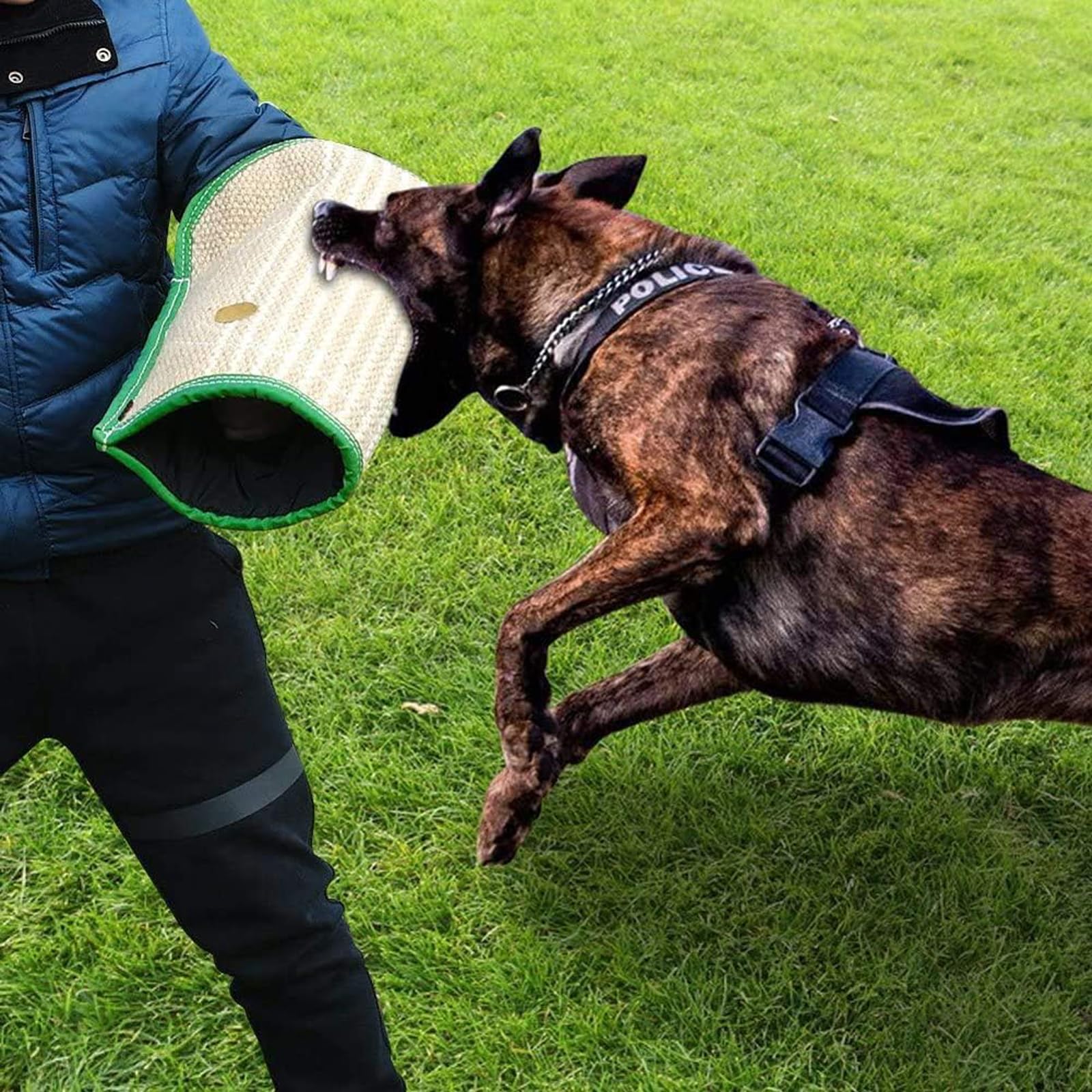 Maniche per Morso di Cane, Rimorchiatori per Cani Giovani, da Lavoro, per Addestramento di Cuccioli di Cane, Che Giocano Sia per La Mano Sinistra Che per Quella Destra
