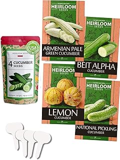 4 Cucumber Seeds Variety Pack - Cucumber Seeds for Planting - National Pickling, Beit Alpha, Armenian Pale Green, & Lemon ...