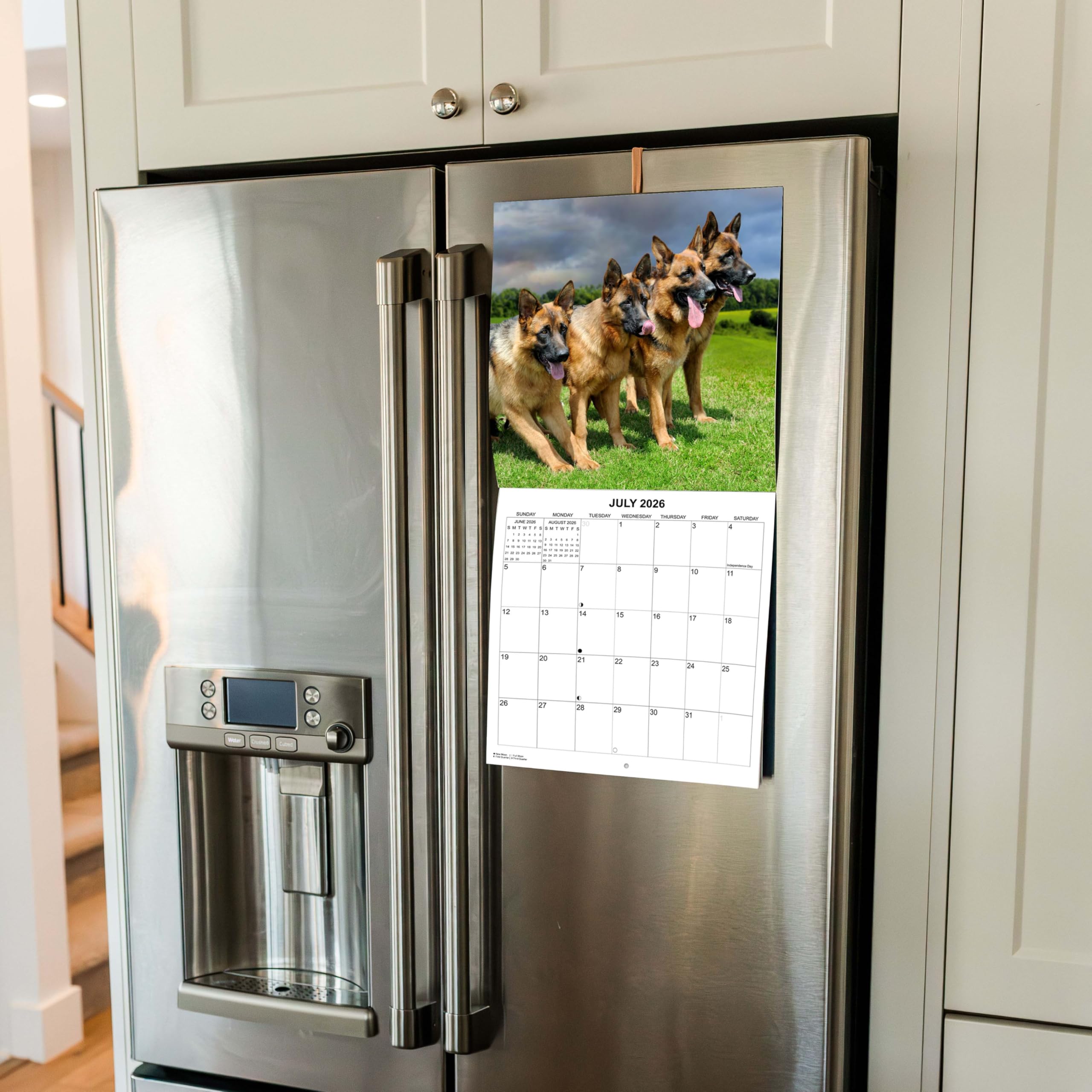 2025 German Shepherds Monthly Wall Calendar - Image 5