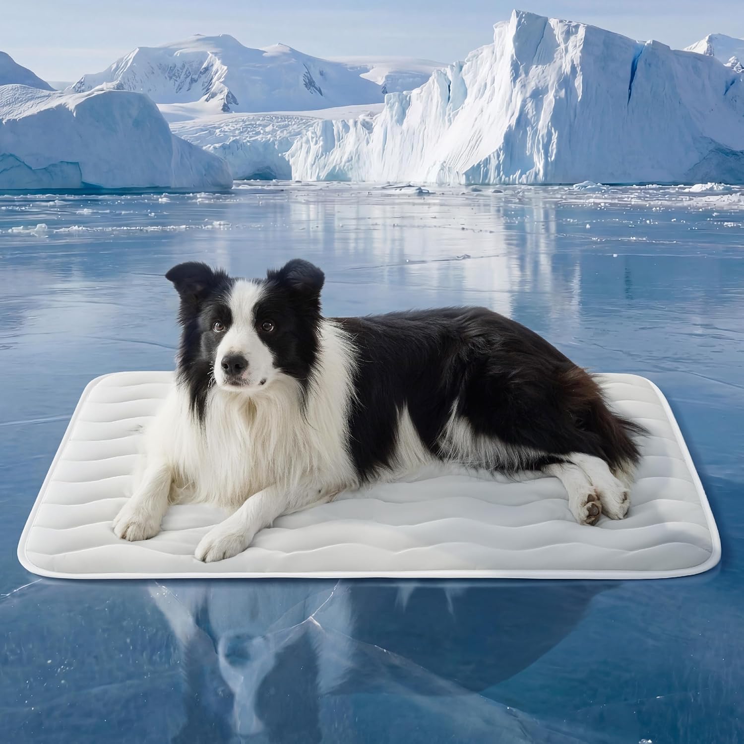 Bedsure Cooling Dog Mat Extra Large - Q-Max>0.4 XL Thin Breathable Cold Crate Pad Indoor for Pets with Chill Cool Fiber as Cooling Topper，Portable Washable Kennel Mat in Outdoor Summer, 41x28, Grey