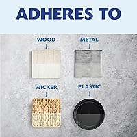 Vista 5 de Rust-Oleum 249859 Painter's Touch 2X Ultra Cover - Pintura en aerosol de 12 onzas, transparente semibrillante