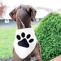 Vista 6 de Plantilla de pata de perro - Estampado de patas, plantillas para mascotas