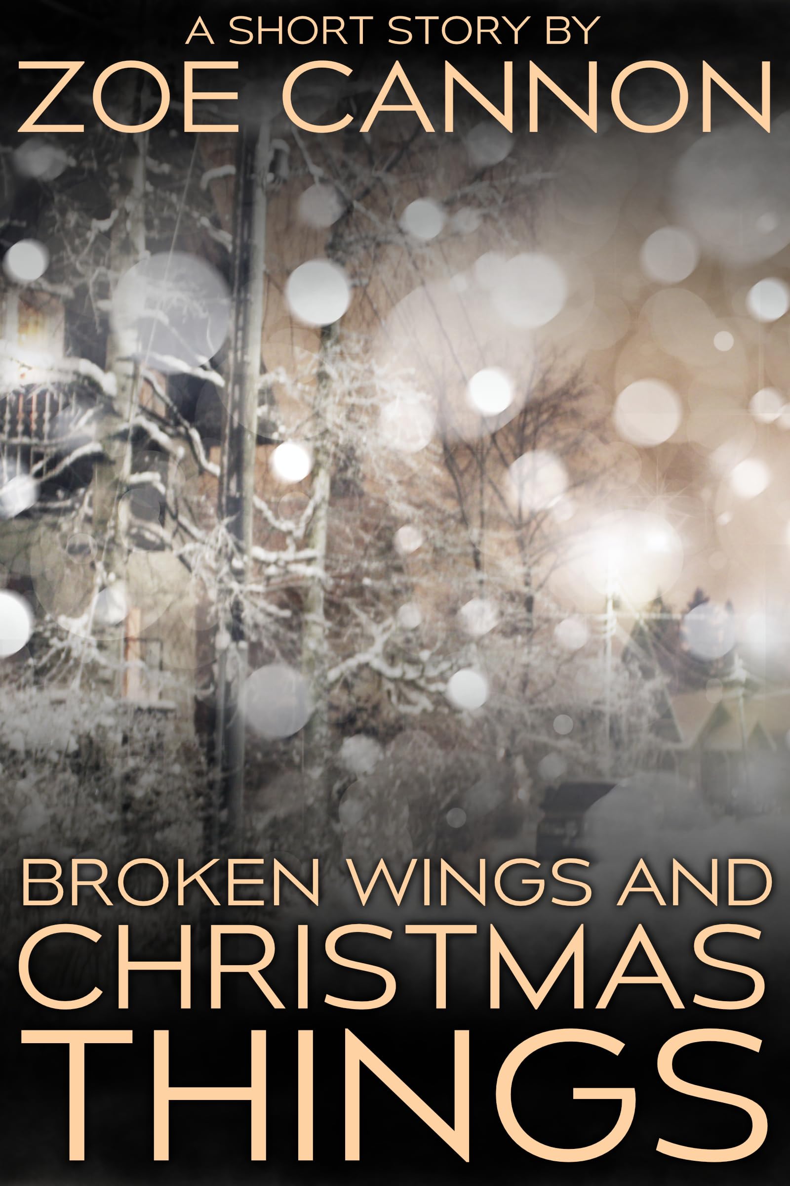 Cover of Broken Wings and Christmas Things