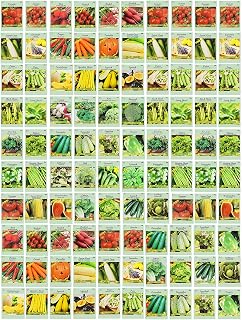 Valley Greene 100 Assorted Heirloom Non-GMO Vegetable Seeds - 30+ Varieties, High Germination, Individually Packed