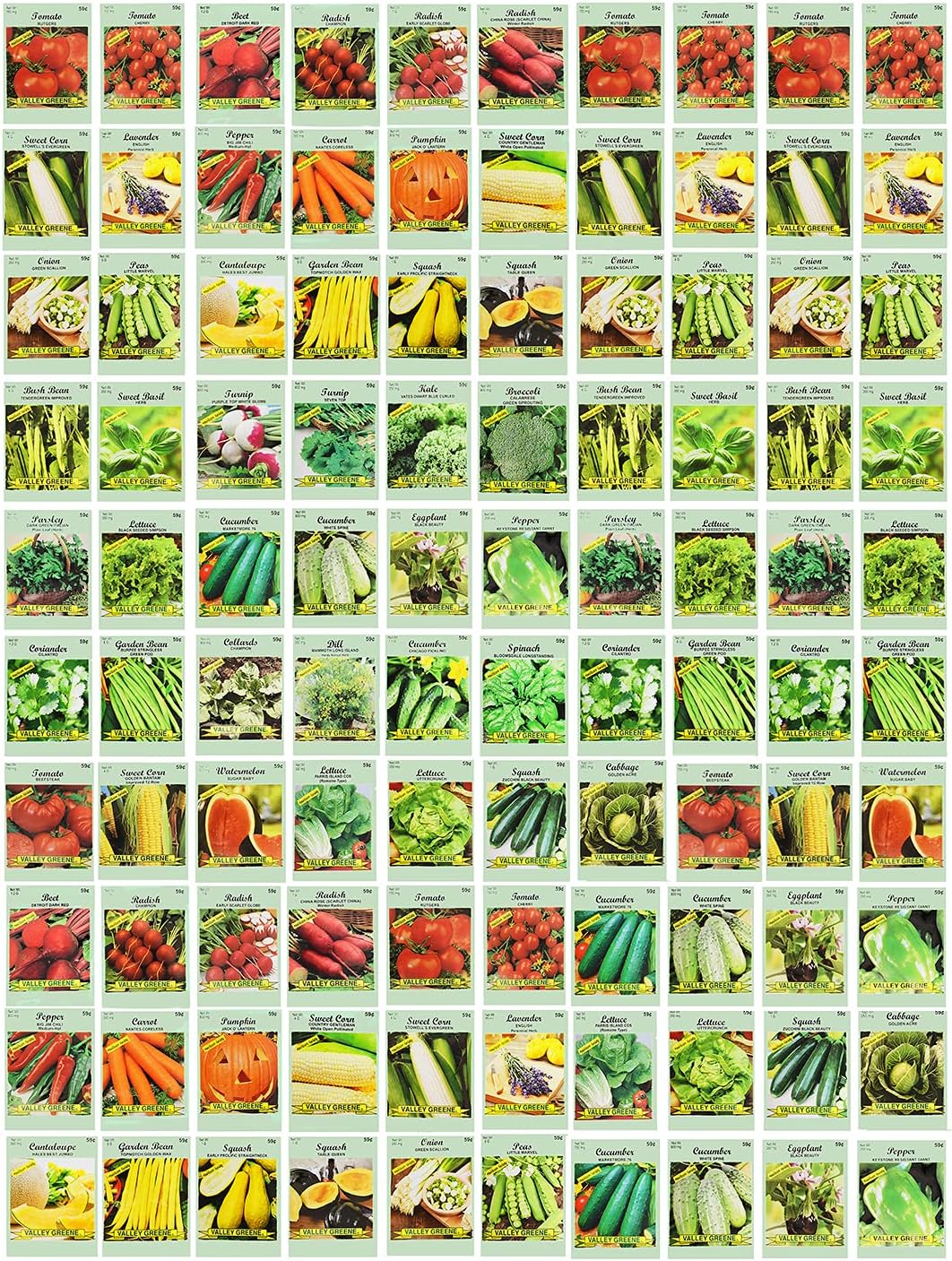 100 Assorted Heirloom Vegetable Seeds 100% Non-GMO (100, Deluxe Assorted Vegetable Seeds)