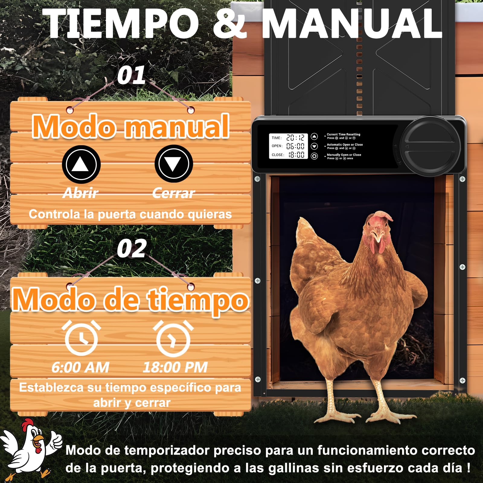 INNOLAND Puerta Gallinero Automática Grande con Pantalla LCD, Aluminio, Anti-atrapamiento, Alimentada por Batería