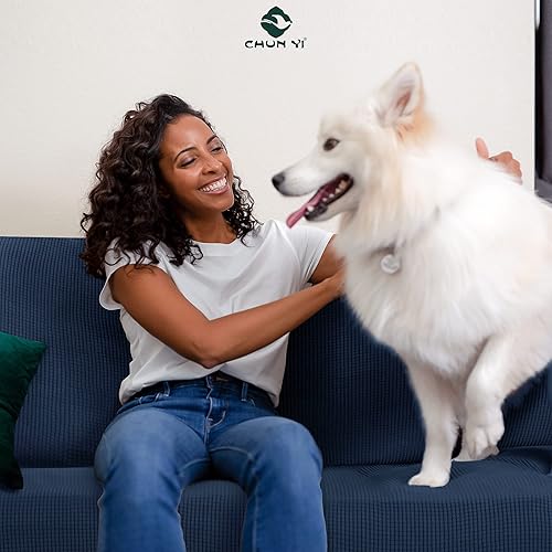 Vista 233 de CHUN YI - Funda elástica para sofá (1 unidad)