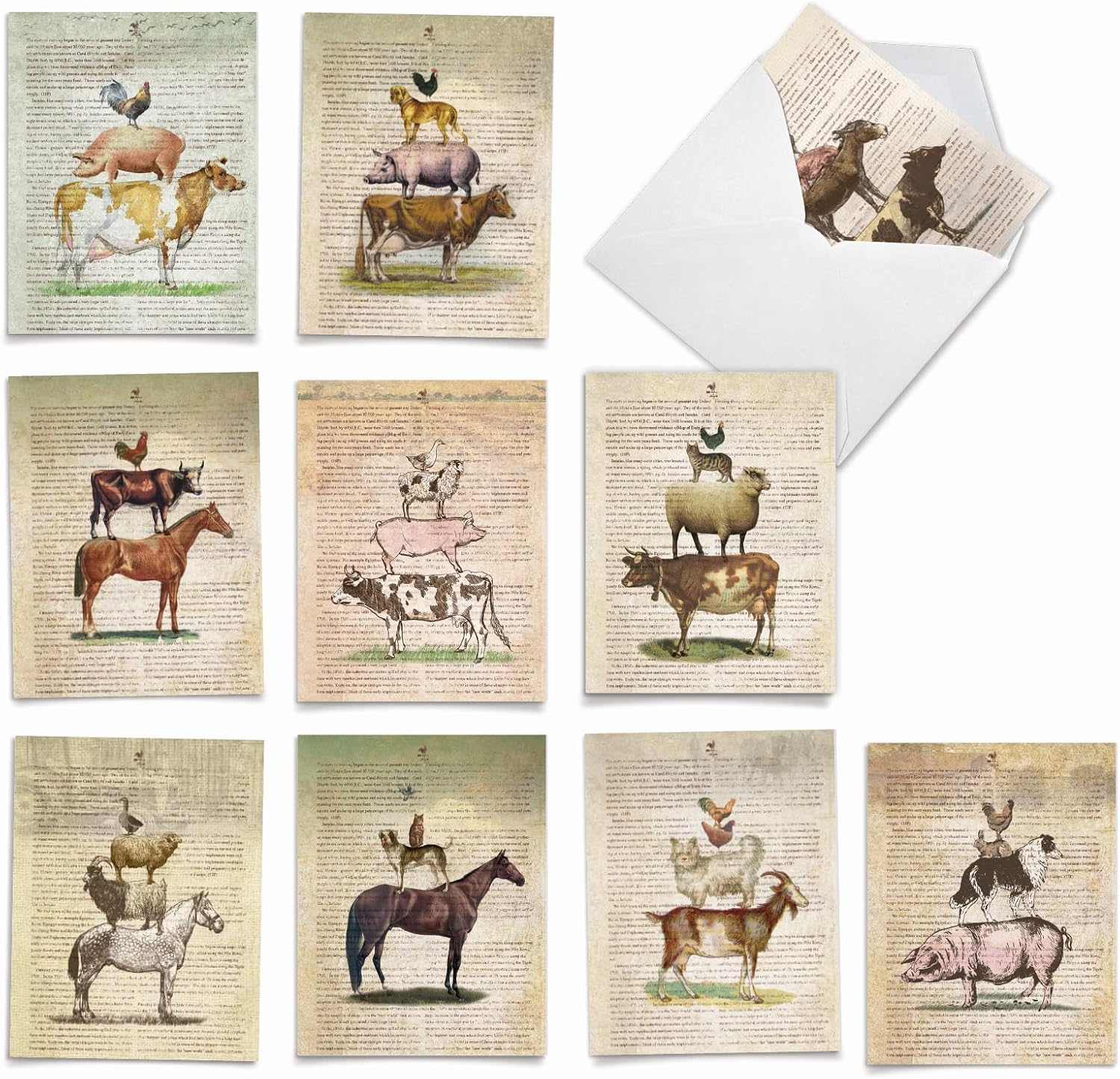 The Best Card Company 10 Assorted Thank You Notecards Boxed Set 4 x 5.12 Inch with Envelopes (10 Designs, 1 Each) Farm Stand M6595TYG