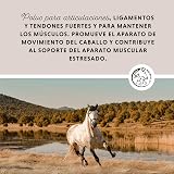 Ver la foto 2