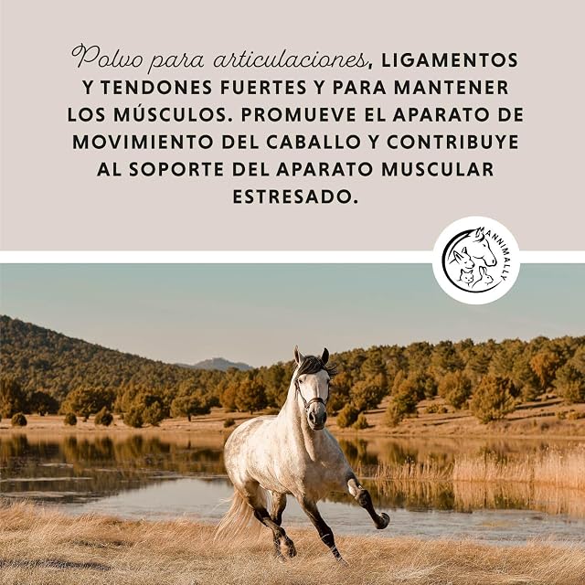 Foto 2 de 8 de Annimally Polvo para articulaciones de Caballos 850g con Garra del Diablo, MSM Caballos (azufre), glucosamina…