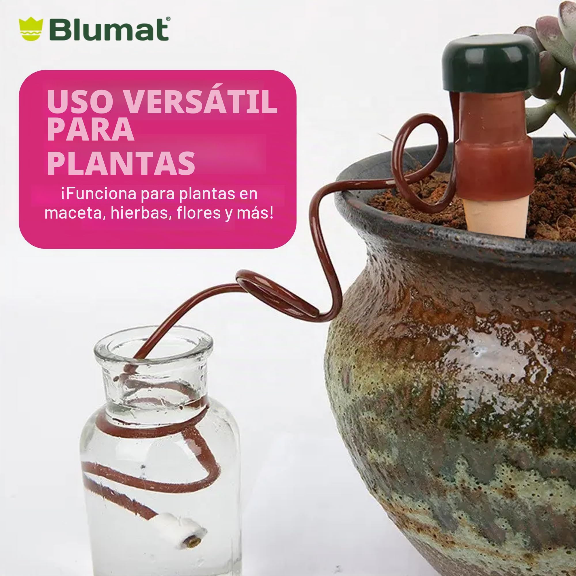 BLUMAT 10520 Junior Automático Planta Riego, XL, 2 Unidades