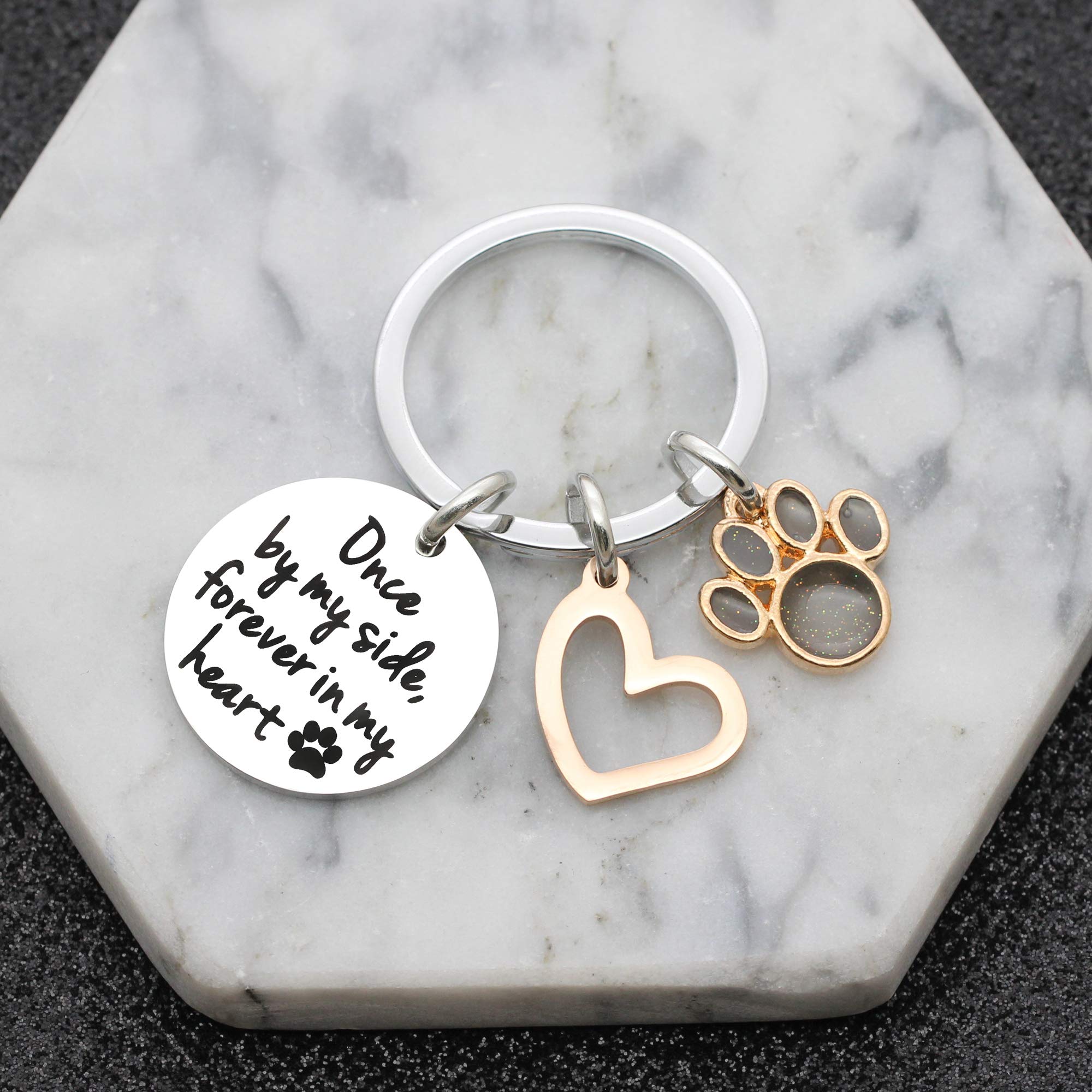 Portachiavi Commemorativo Per Animali - Ricordo Con Impronte Per Perdita Cane O Gatto - Foto 6