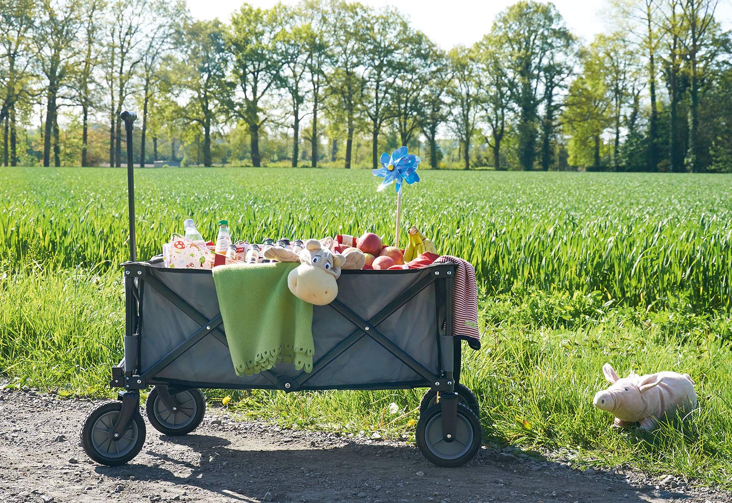Pinolino 238005 – Carrello a Mano lanciare 'Porti', Grigio