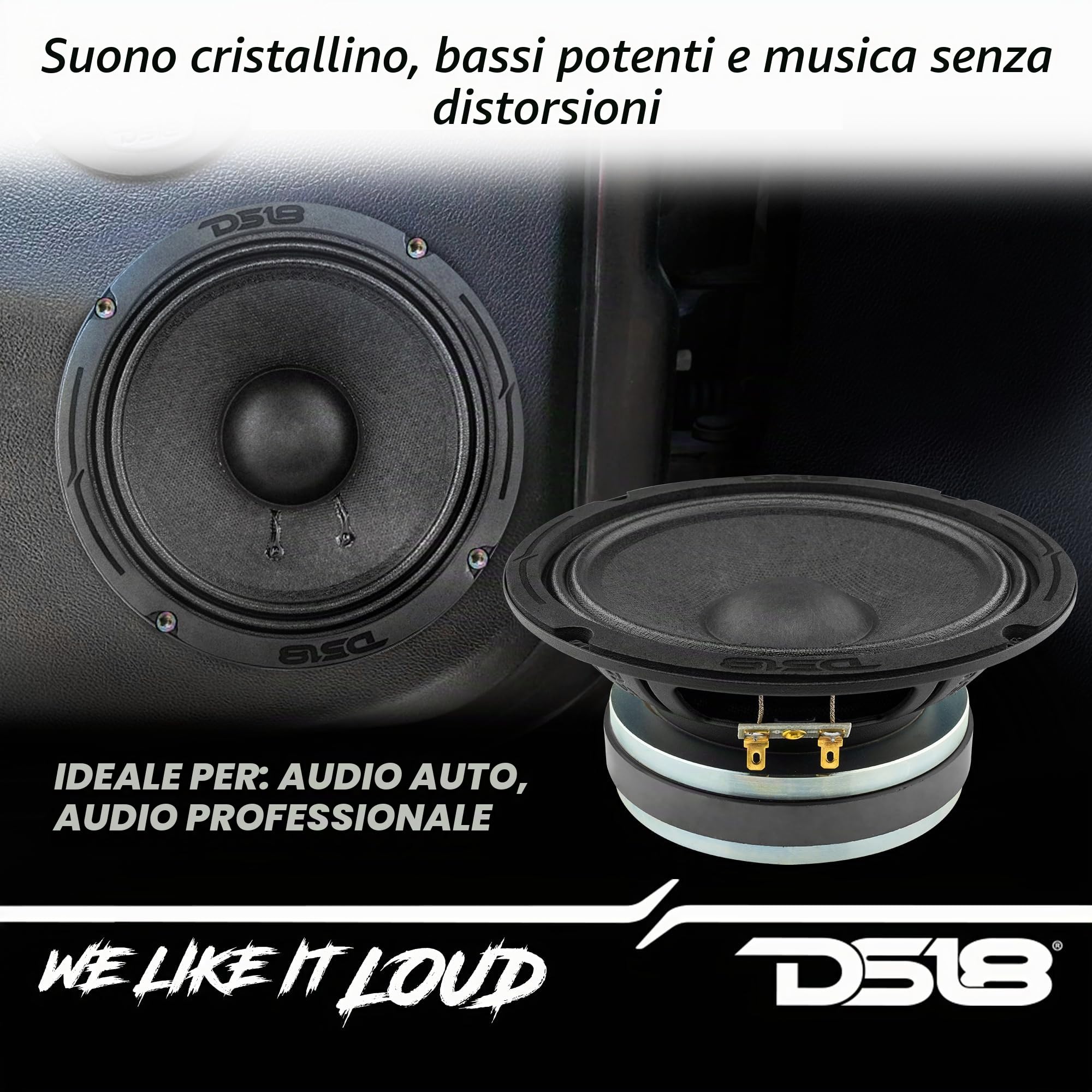 DS18 1 6PRO300MB-4 altoparlante professionale mid-bass da 16,5 cm 165 mm 6,5", 150 watt rms e 300 watt max, 4 ohm, 96 db, portiere, sportelli, per auto, 1 pezzo