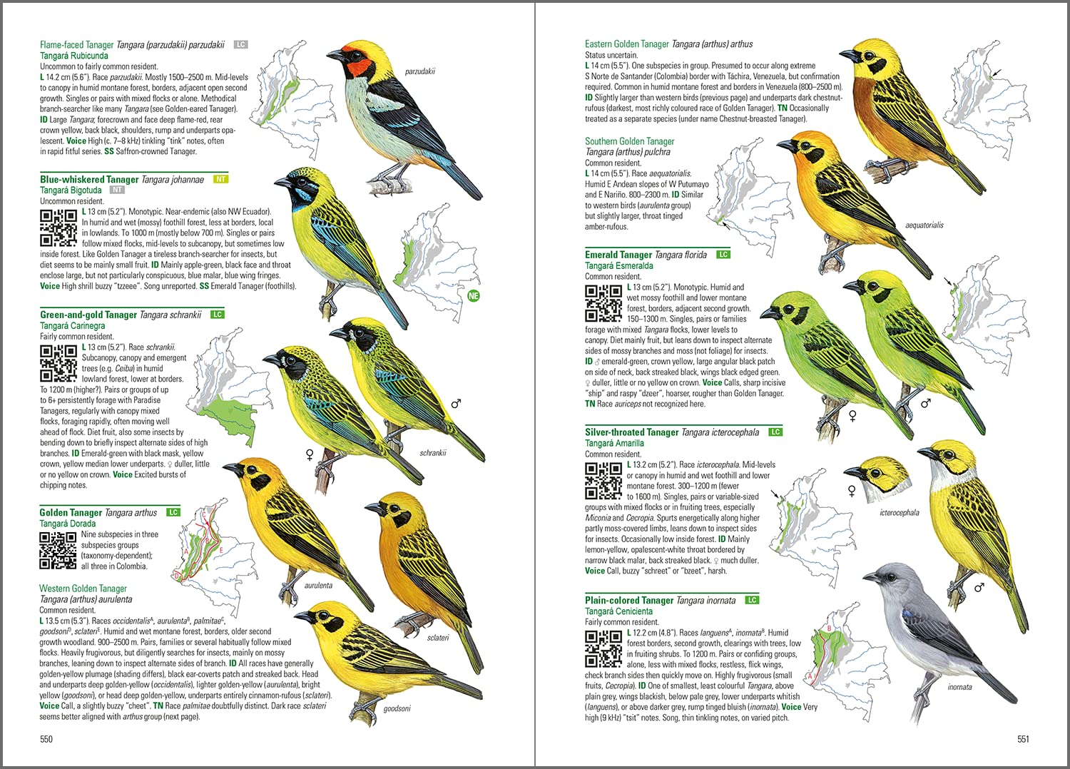 Birds of Colombia